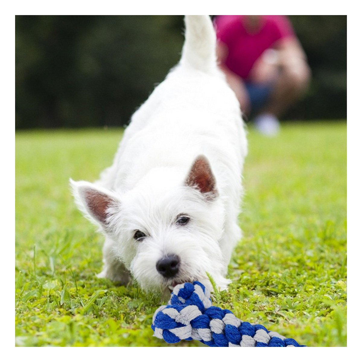 PACK2 ELEMENTO DE JUEGO PARA PERROS TIPO HUESO TRENZADO AZUL - 5