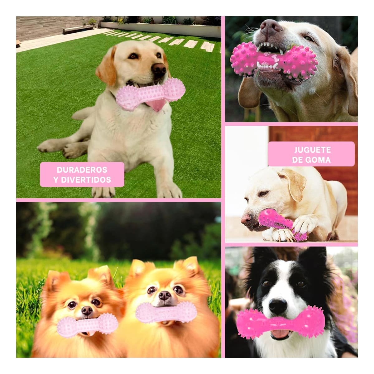 PACK4 APARATO INTERACTIVO ROSADO PARA MASCOTAS FORMA DE PESA RESISTENTE Y+REGALO STICKER - 2