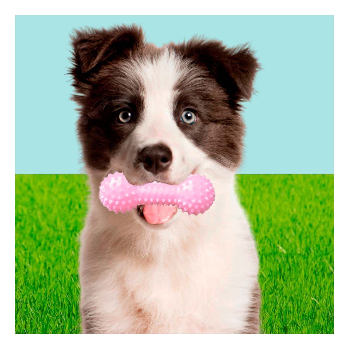 PACK4 APARATO INTERACTIVO ROSADO PARA MASCOTAS FORMA DE PESA RESISTENTE Y+REGALO STICKER - 3