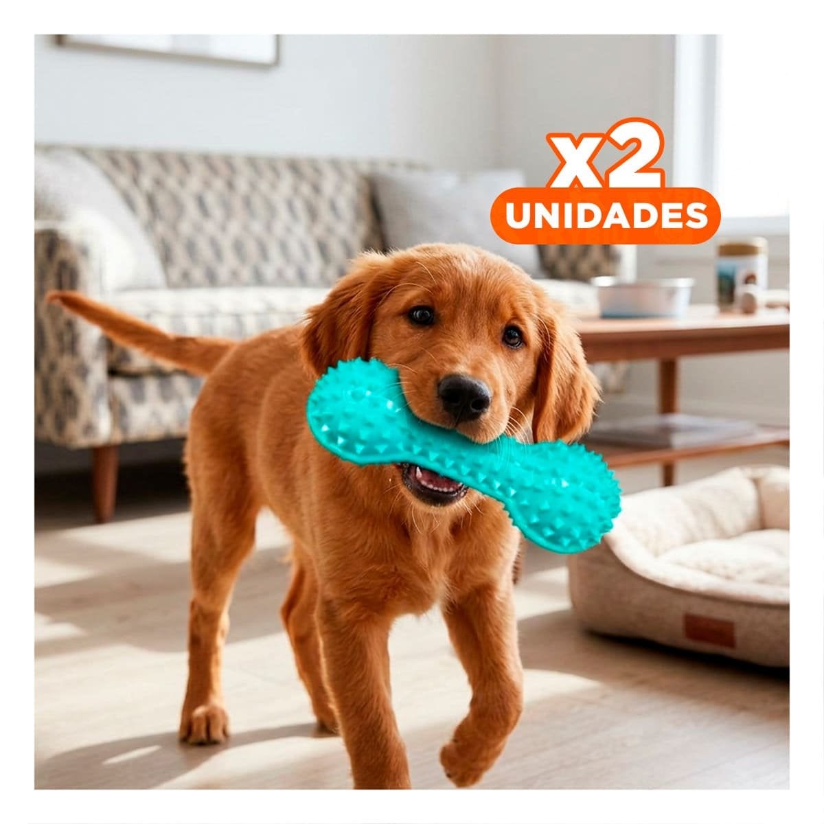 PACK2 KIT VERDE AGUA PARA MASCOTAS FORMA DE PESA SEGURO Y RESISTENTE Y+REGALO STICKER - 1