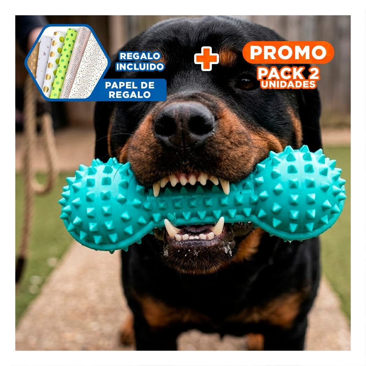 PACK2 KIT PEQUENO VERDE AGUA PARA MASCOTAS PESA CON PUNTAS DIVERTIDO Y+PAPEL REGALO - 1