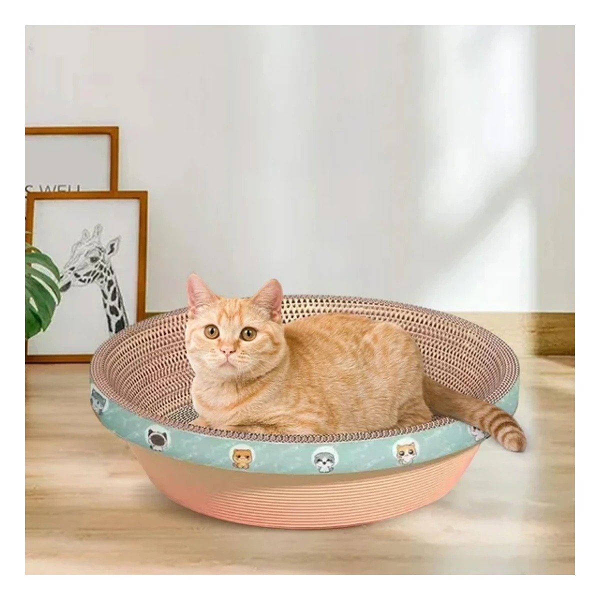 PACK2 ESTACION DE JUEGO CIRCULAR CON CATNIP CHICO 40 CM MARRON PARA GATO HOGAR Y+PAPEL REGALO - 2