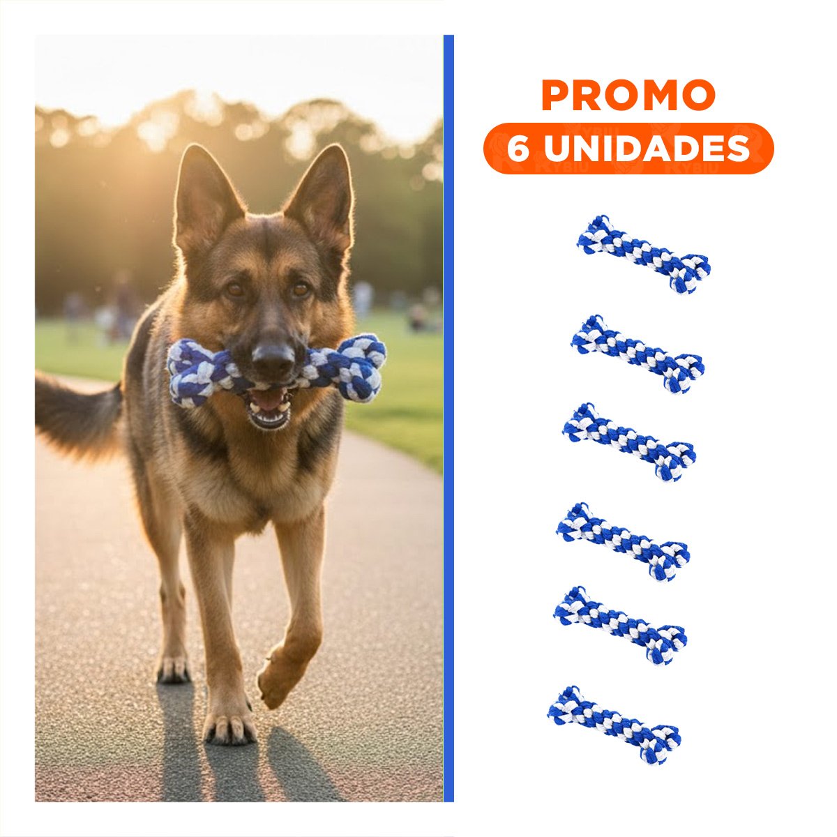 PACK6 OBJETO INTERACTIVO CANINO PARA MANTENERLO ACTIVO AZUL - 1