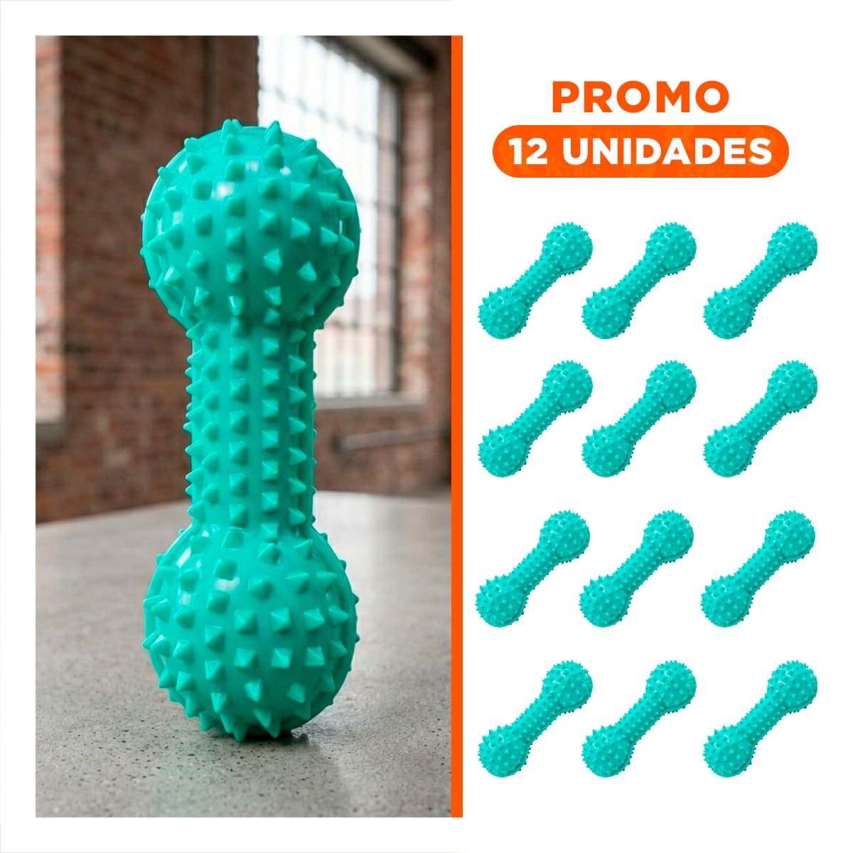 PACK12 HERRAMIENTA PEQUENA VERDE AGUA PARA MASCOTAS PESA CON PUNTAS DIVERTIDO Y+REGALO STICKER - 1