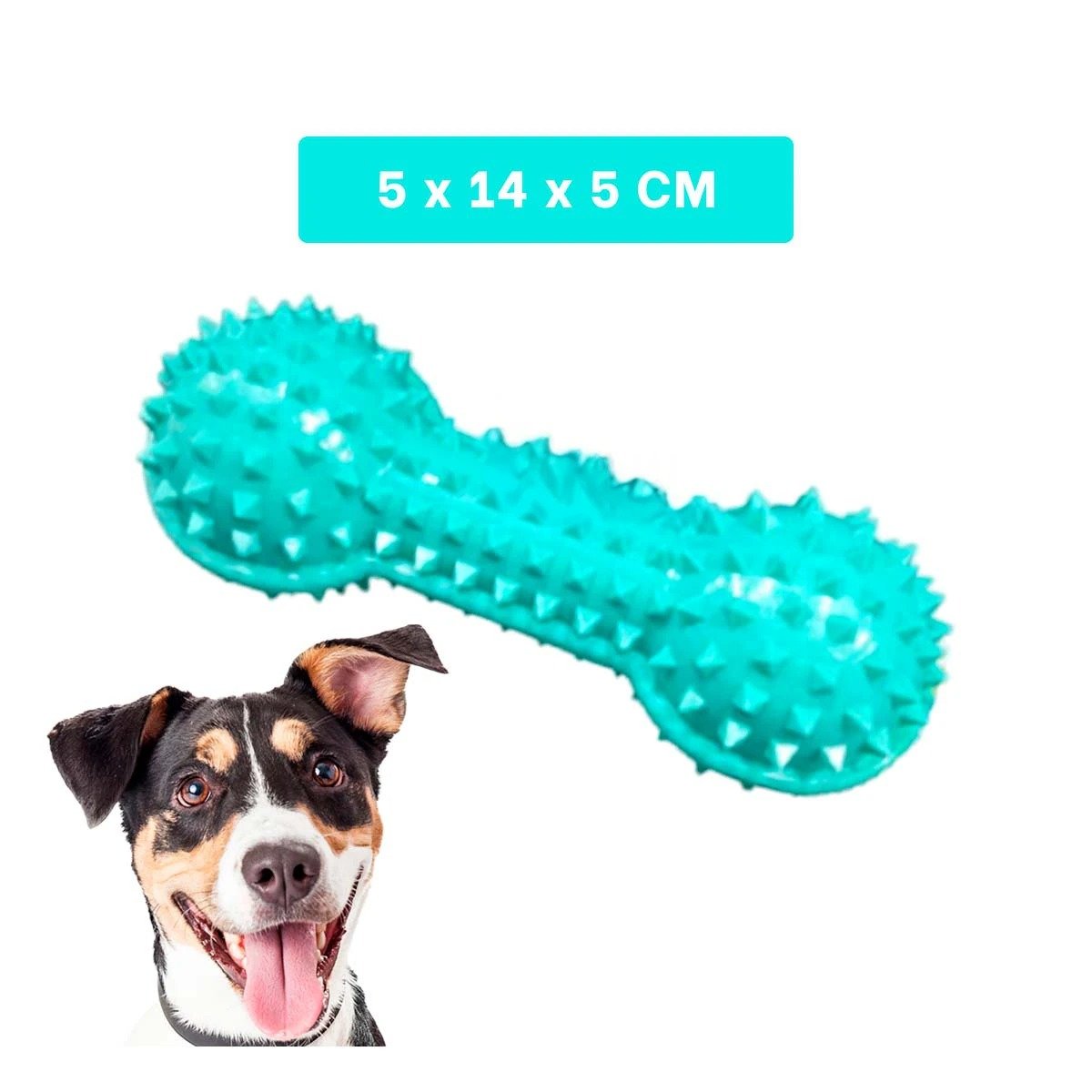 PACK12 HERRAMIENTA PEQUENA VERDE AGUA PARA MASCOTAS PESA CON PUNTAS DIVERTIDO Y+REGALO STICKER - 4