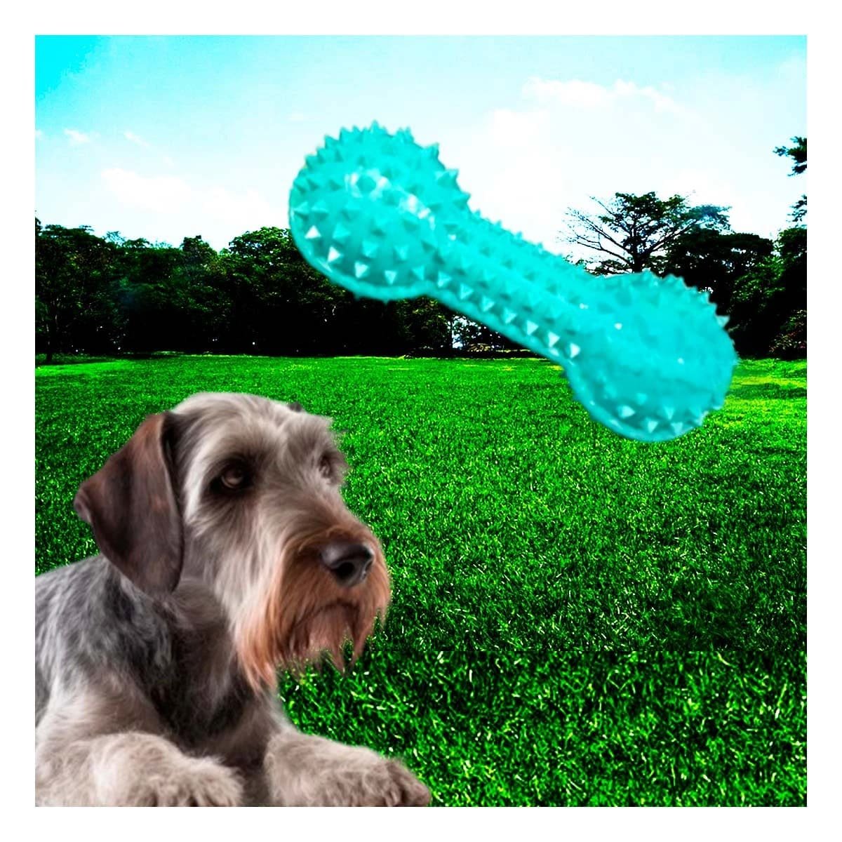PACK12 HERRAMIENTA PEQUENA VERDE AGUA PARA MASCOTAS PESA CON PUNTAS DIVERTIDO Y+REGALO STICKER - 5