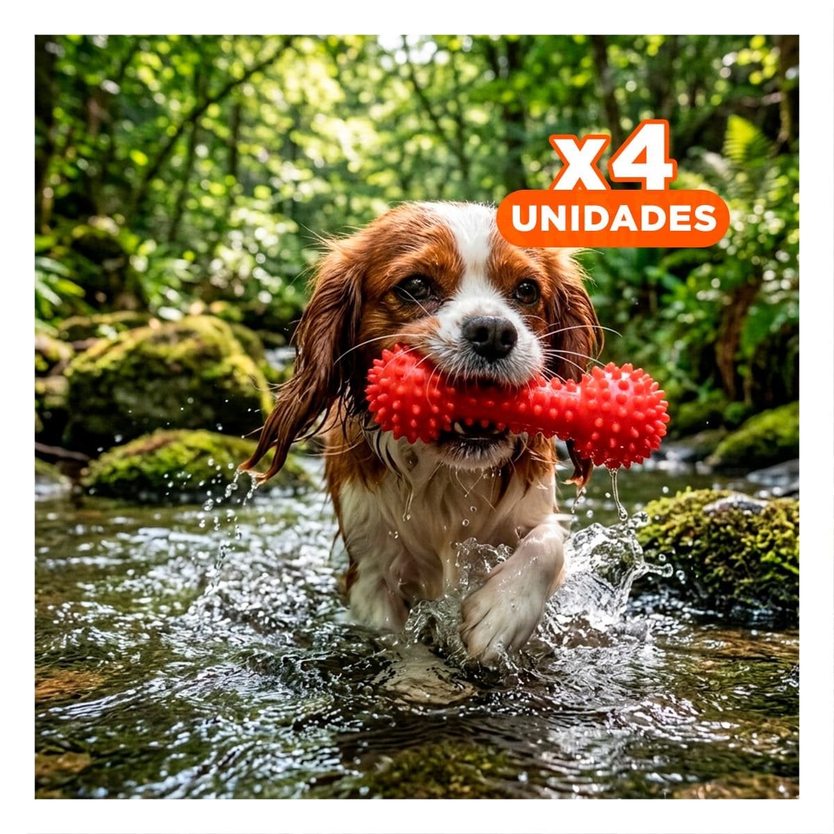 PACK4 APARATO ROJO PARA MASCOTAS FORMA DE PESA CON PUNTAS DURABLES - 1
