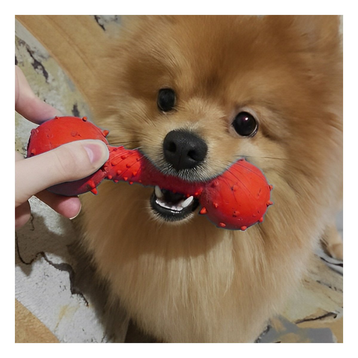 PACK4 APARATO ROJO PARA MASCOTAS FORMA DE PESA CON PUNTAS DURABLES - 3