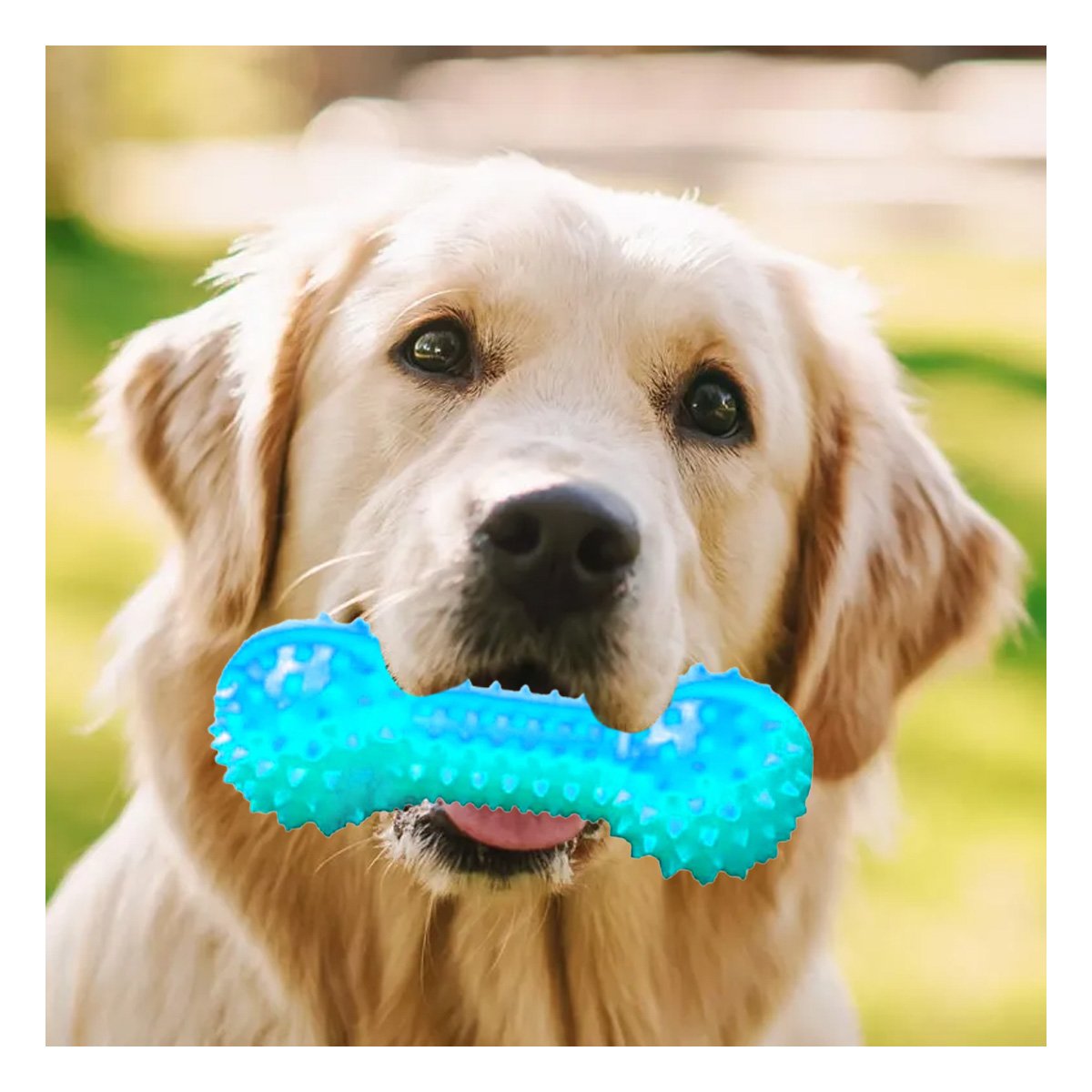 PACK12 HERRAMIENTA INTERACTIVA VERDE AGUA PARA MASCOTAS PESA CON PUNTAS SEGURAS - 3