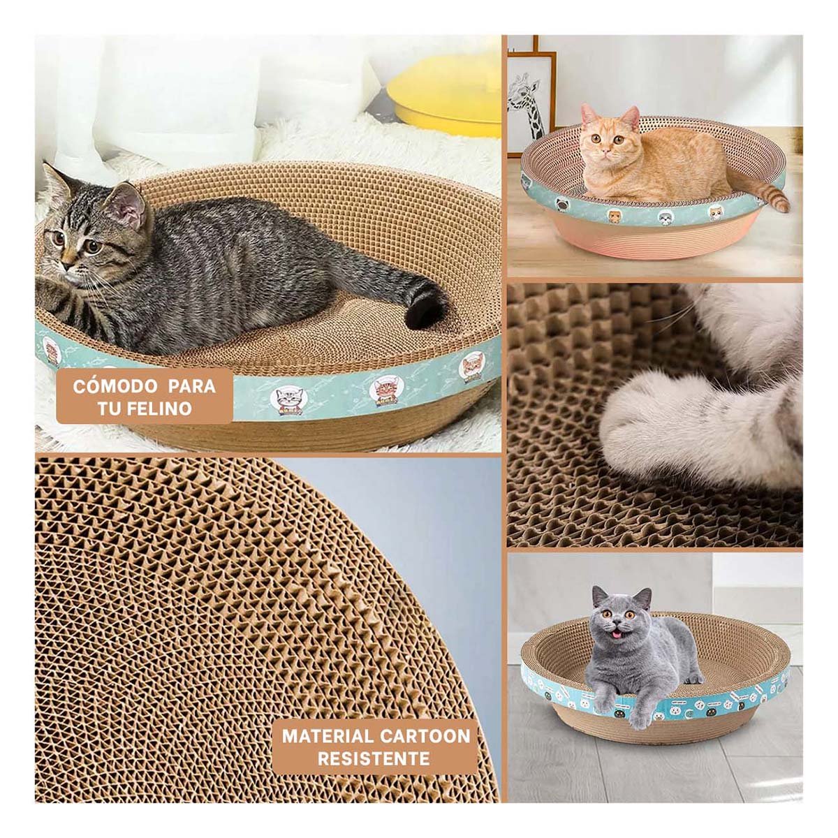 PACK4 TAPETE DE JUEGO CIRCULAR CON CATNIP GRANDE 50CM MARRON PARA GATO Y+REGALO STICKER - 2