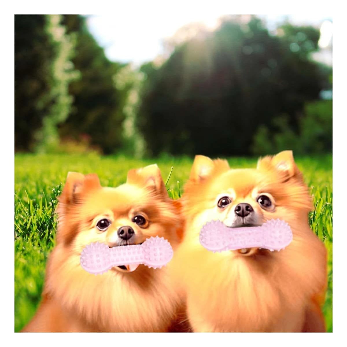 PACK12 HERRAMIENTA PEQUENA ROSADO PARA MASCOTAS PESA CON PUNTAS DIVERTIDO Y+REGALO STICKER - 5