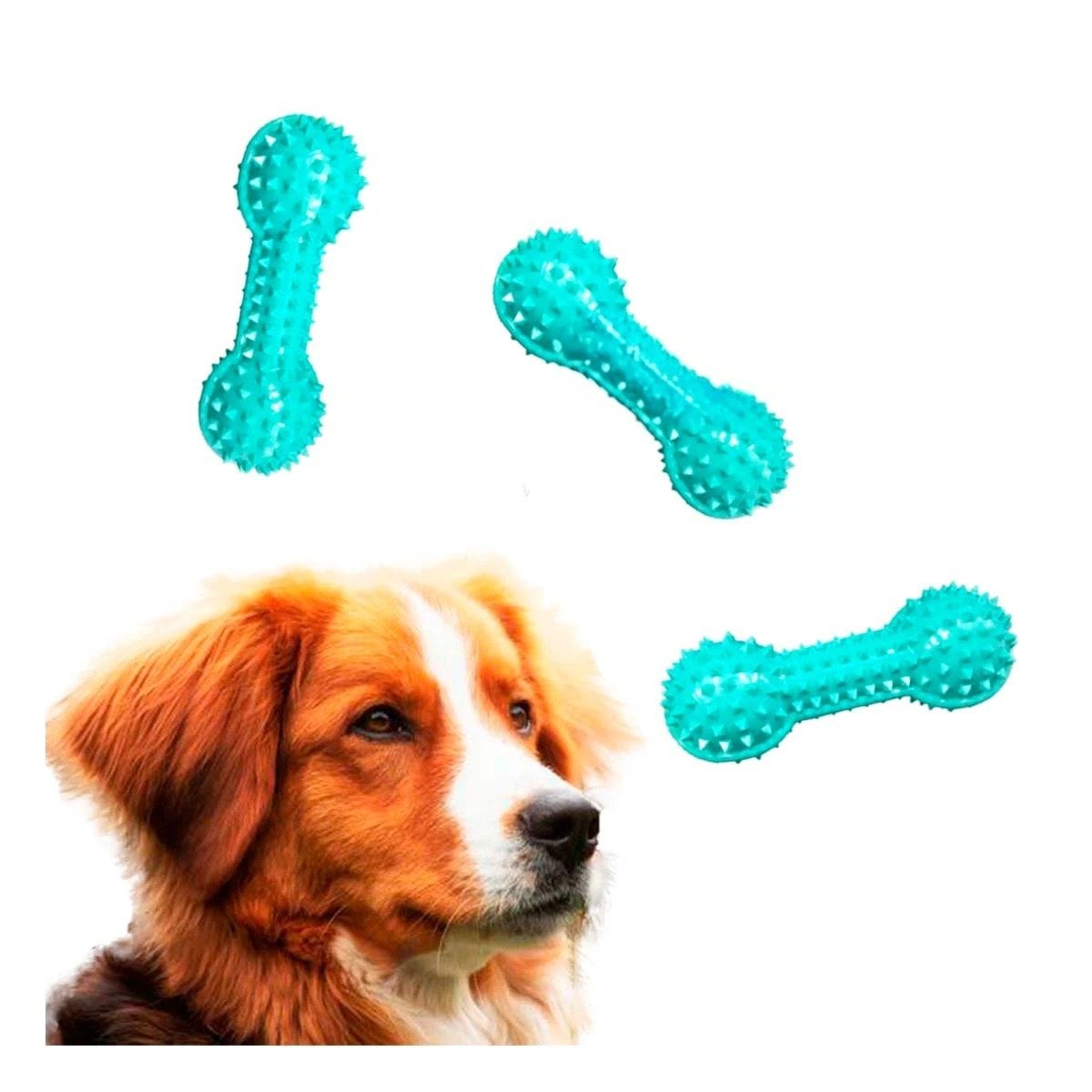 PACK6 HERRAMIENTA VERDE AGUA PARA MASCOTAS FORMA DE PESA CON PUNTAS Y+REGALO STICKER - 2
