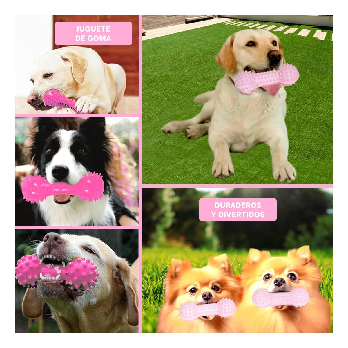 PACK2 KIT PEQUENO ROSADO PARA MASCOTAS PESA CON PUNTAS DIVERTIDO Y+PAPEL REGALO - 3