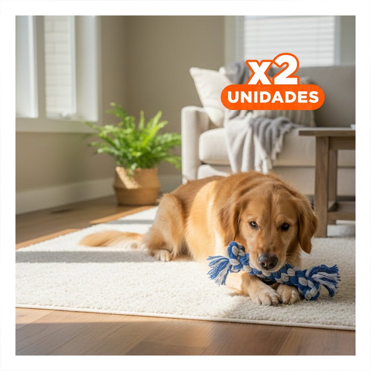 PACK2 ELEMENTO DE JUEGO PARA PERROS COMPACTO 15X6,5 CM AZUL Y+REGALO STICKER - 1
