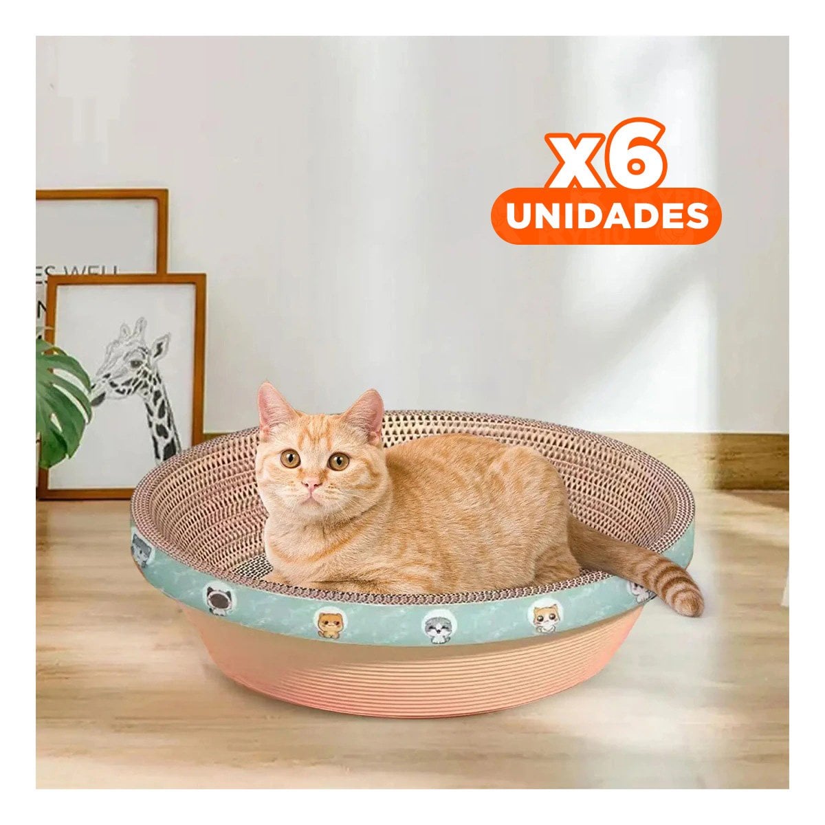 PACK6 ESPACIO DE JUEGO CIRCULAR CON CATNIP GRANDE 50CM MARRON PARA GATO Y+REGALO STICKER - 1