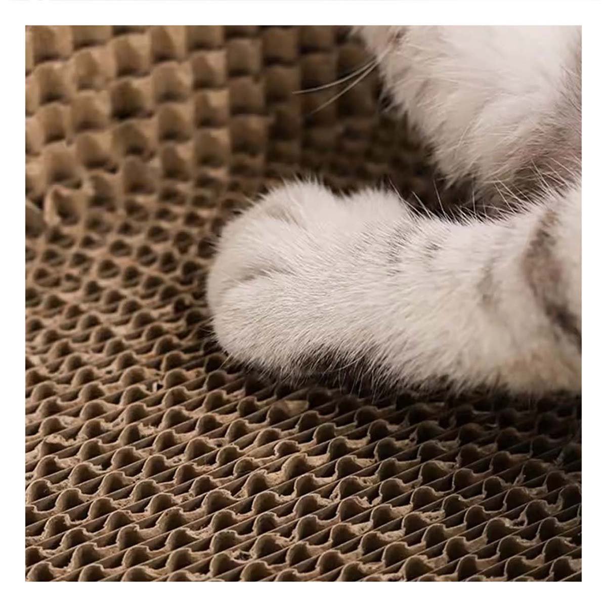 PACK6 ESPACIO DE JUEGO CIRCULAR CON CATNIP GRANDE 50CM MARRON PARA GATO Y+REGALO STICKER - 3