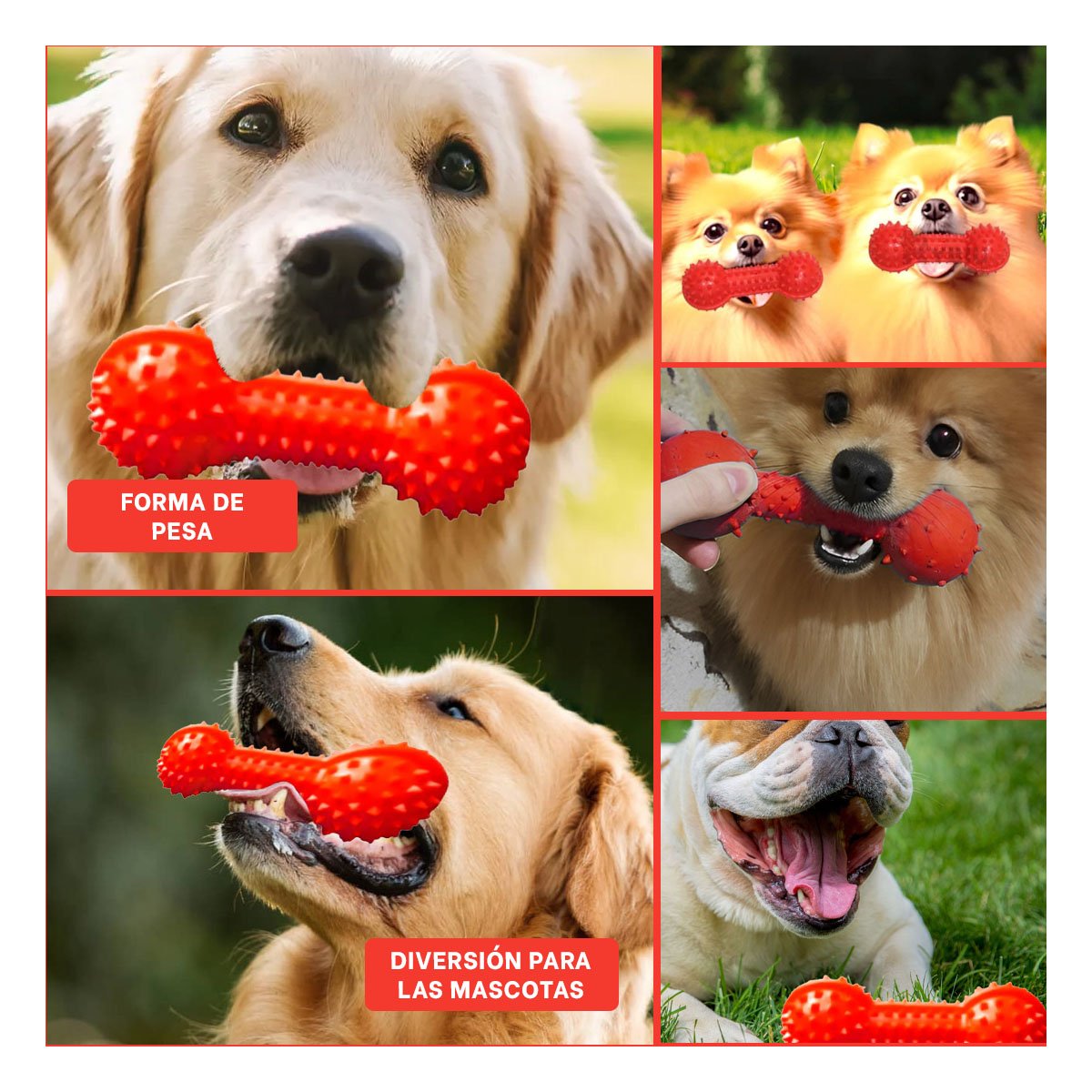 PACK4 APARATO INTERACTIVO ROJO PARA MASCOTAS FORMA DE PESA RESISTENTE Y+REGALO STICKER - 2