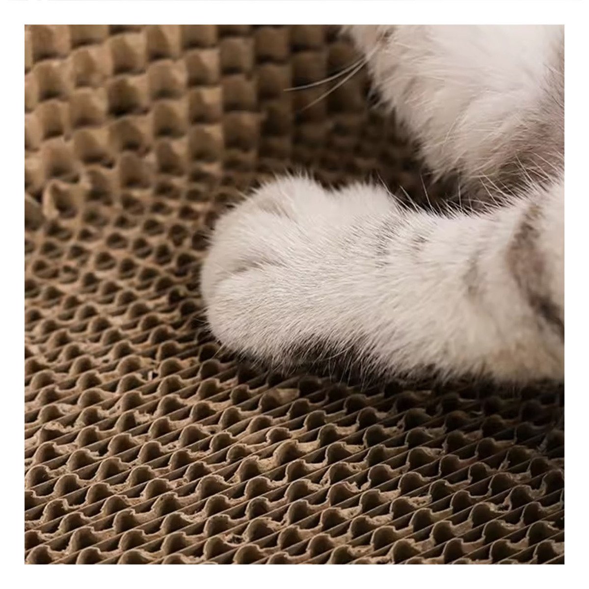 PACK4 ZONA DE JUEGO CIRCULAR CON CATNIP CHICO 40 CM MARRON PARA GATO HOGAR - 5