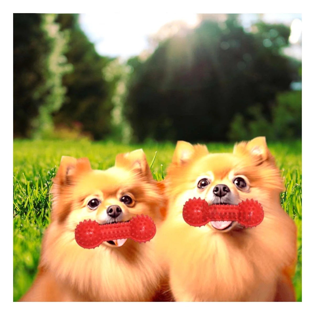 PACK2 KIT PEQUENO ROJO PARA MASCOTAS PESA CON PUNTAS DIVERTIDO Y+PAPEL REGALO - 2
