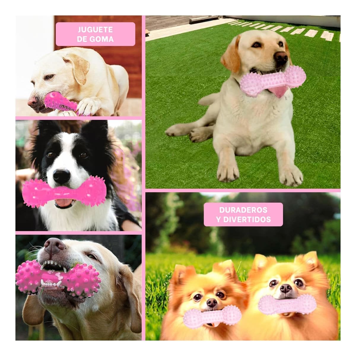 PACK6 APARATO ROSADO PARA MASCOTAS FORMA DE PESA SEGURO Y DIVERTIDO Y+PAPEL REGALO - 3