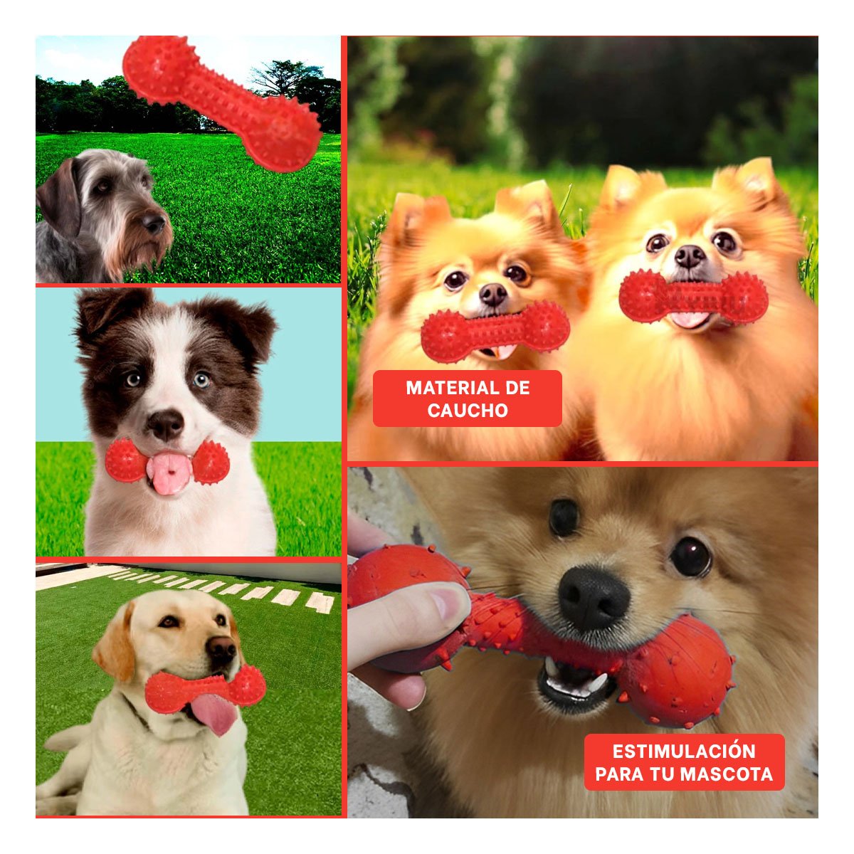 PACK6 APARATO ROJO PARA MASCOTAS FORMA DE PESA SEGURO Y DIVERTIDO Y+PAPEL REGALO - 3