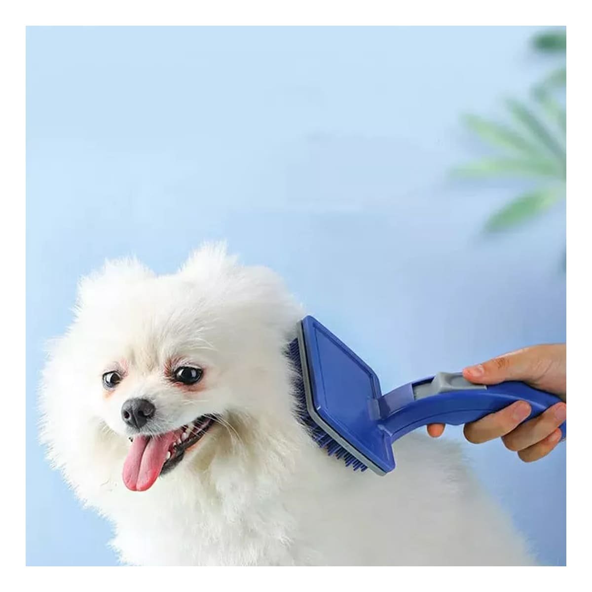 PACK4 APARATO DE CUIDADO PEQUENO AZUL PARA MASCOTAS CON CEPILLO AUTOLIMPIANTE Y+REGALO STICKER - 3