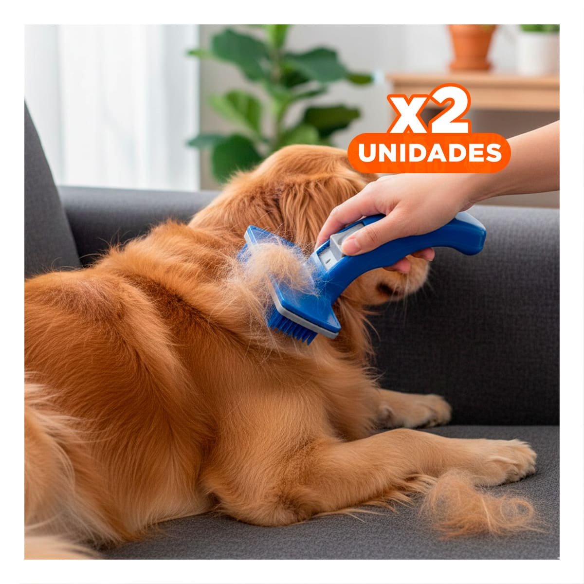 PACK2 KIT PLASTICO AZUL PEQUENO PARA MASCOTAS CON BOTON AUTOLIMPIANTE Y+REGALO STICKER - 1
