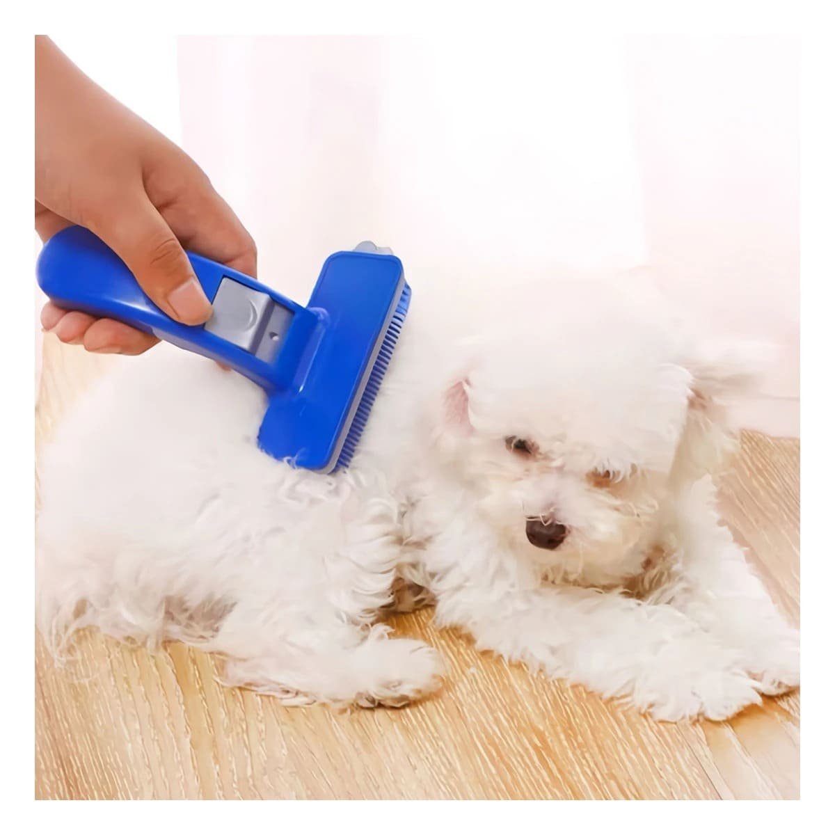PACK2 KIT DE LIMPIEZA PEQUENO AZUL PARA MASCOTAS CON CEPILLO FACIL - 2