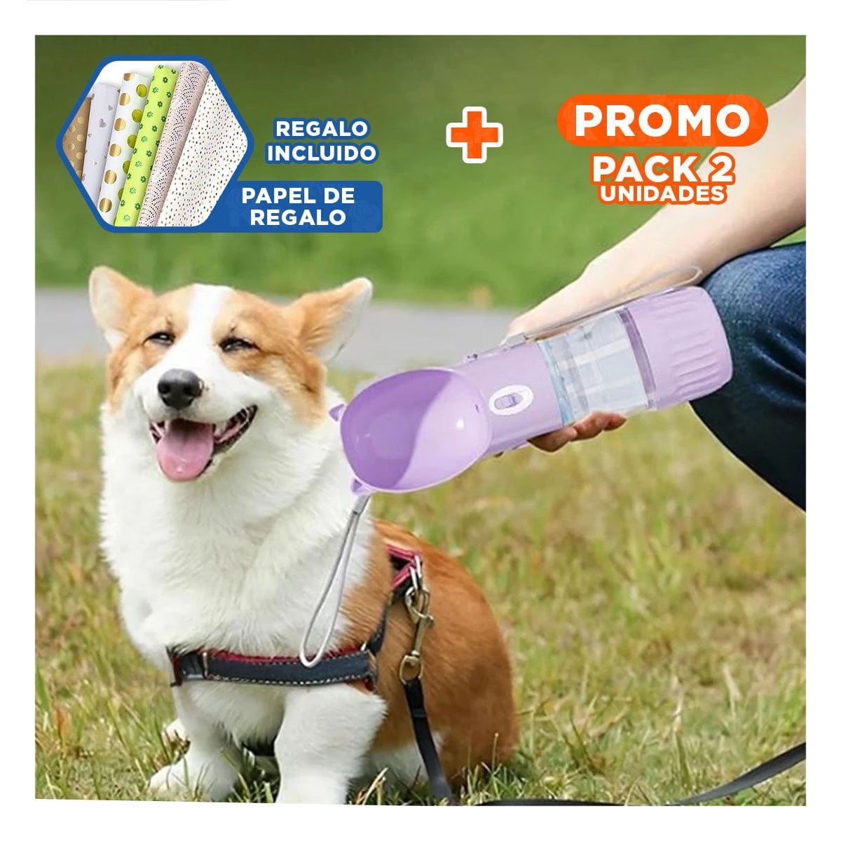 PACK2 ENVASE PRACTICO GATO LILA PARA CARTERA PEQUENA Y+PAPEL REGALO - 1