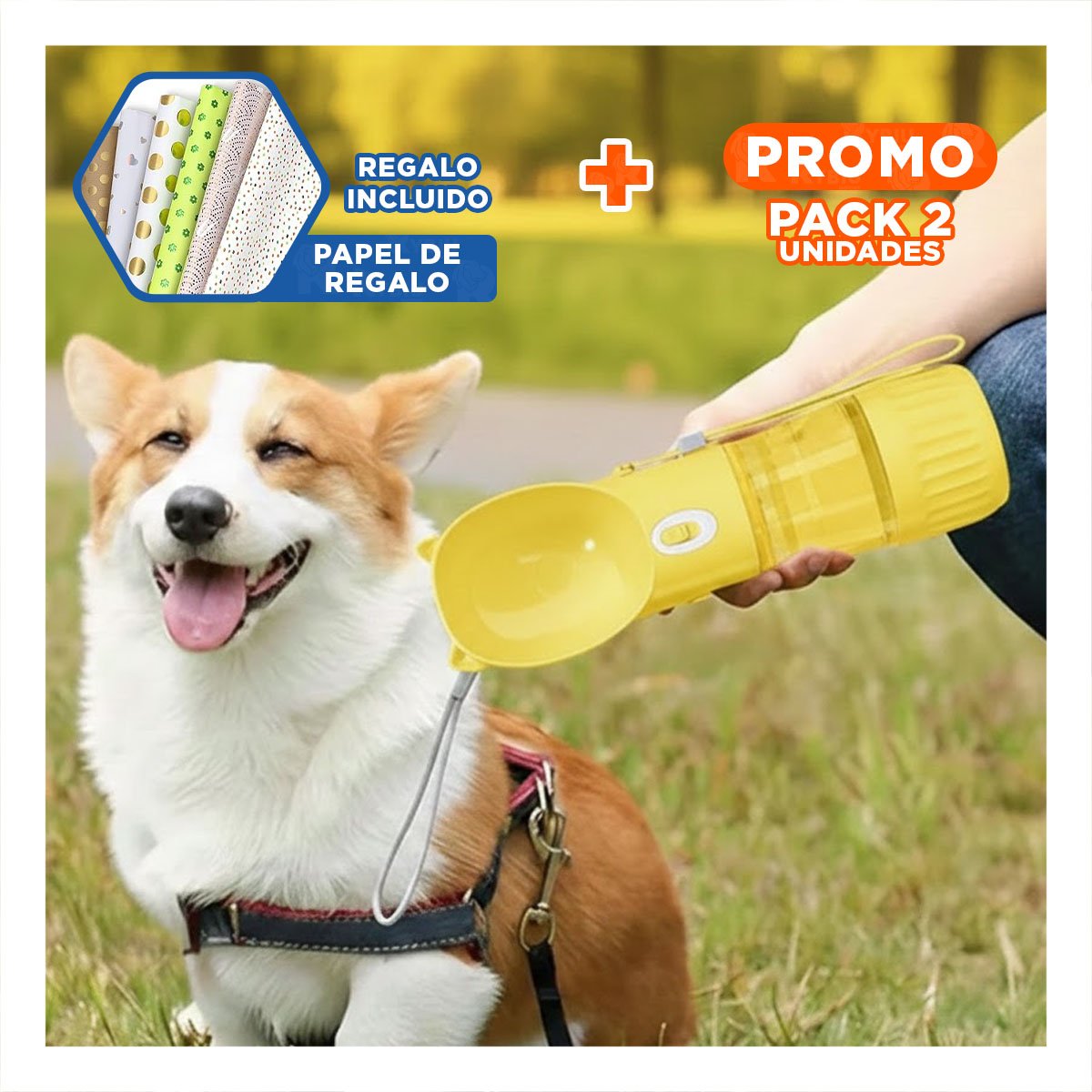 PACK2 ENVASE PRACTICO GATO AMARILLO PARA CARTERA PEQUENA Y+PAPEL REGALO - 1
