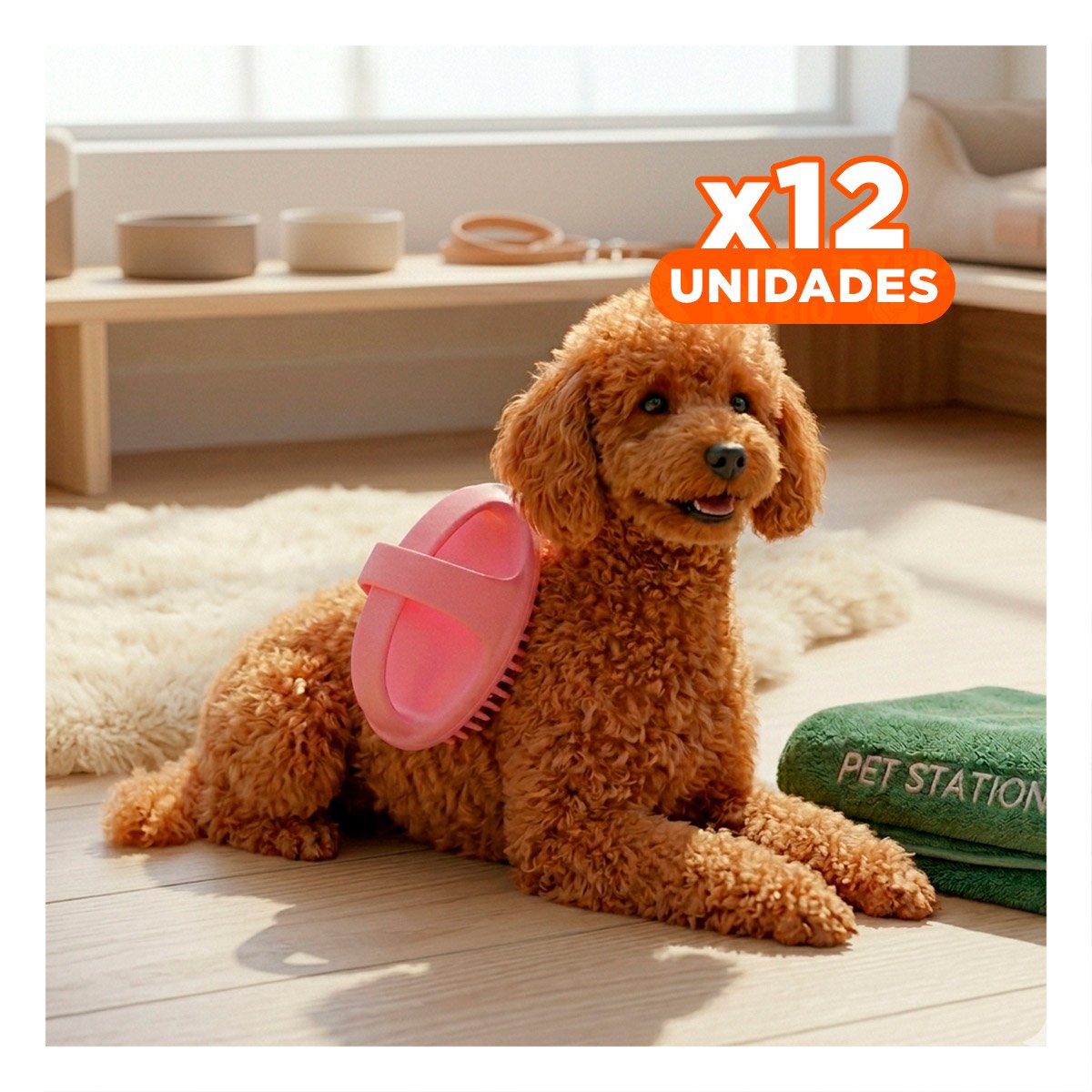 PACK12 PUAS REDONDAS ROSADAS PARA USO DIARIO CON CERDAS SUAVES Y MANEJO COMODO - 1