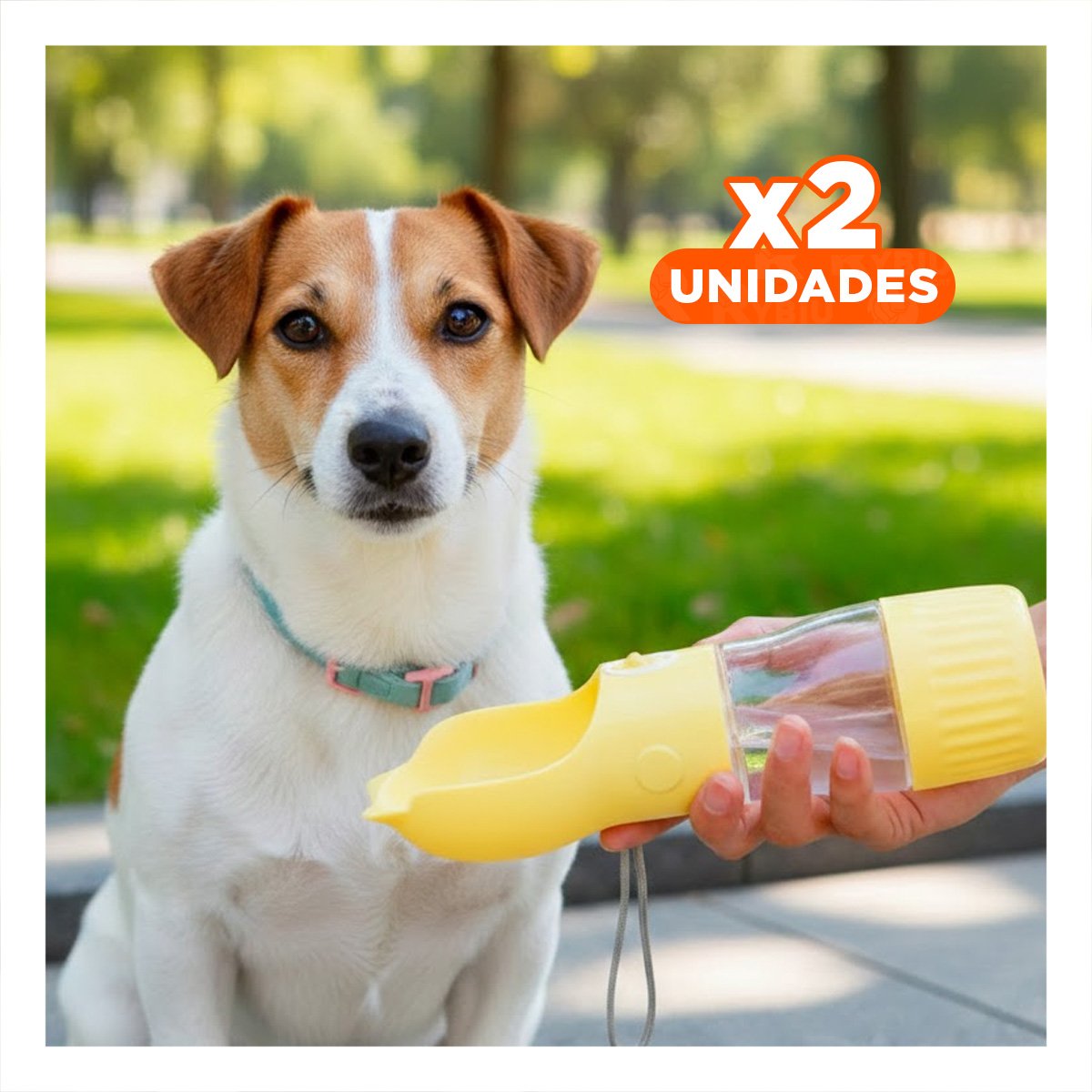 PACK2 ENVASE FUNCIONAL GATO AMARILLO RESISTENTE Y LIVIANO Y+REGALO STICKER - 1
