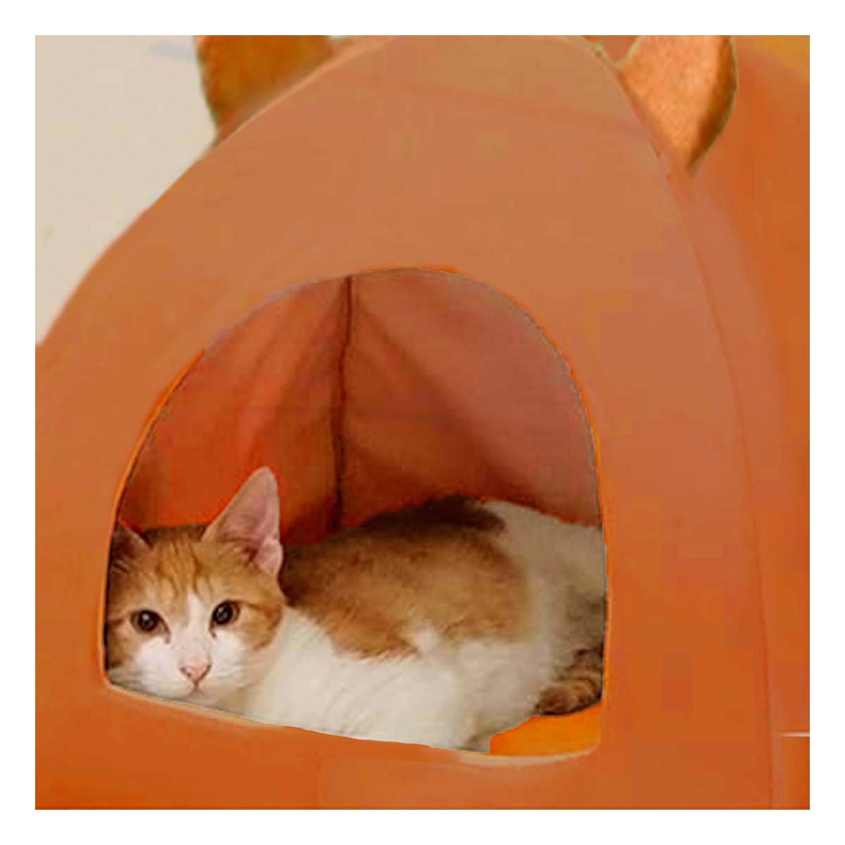 PACK2 NIDO IGLU CERRADO TALLA L MARRON PARA MASCOTAS HOGAR Y+REGALO STICKER - 3