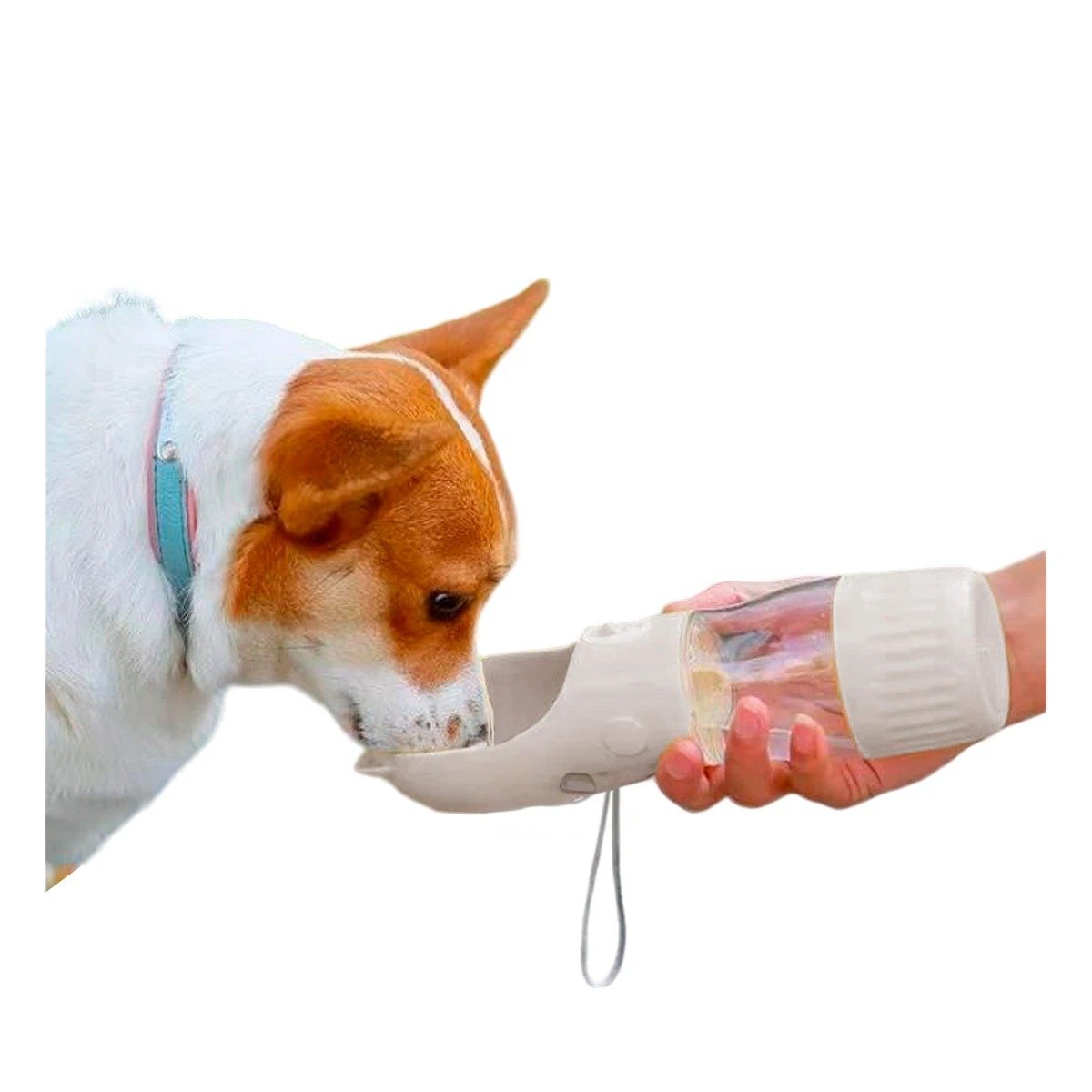 PACK4 BOTELLA COMPACTA GATO PLOMO PARA MOCHILA ESCOLAR Y+PAPEL REGALO - 3