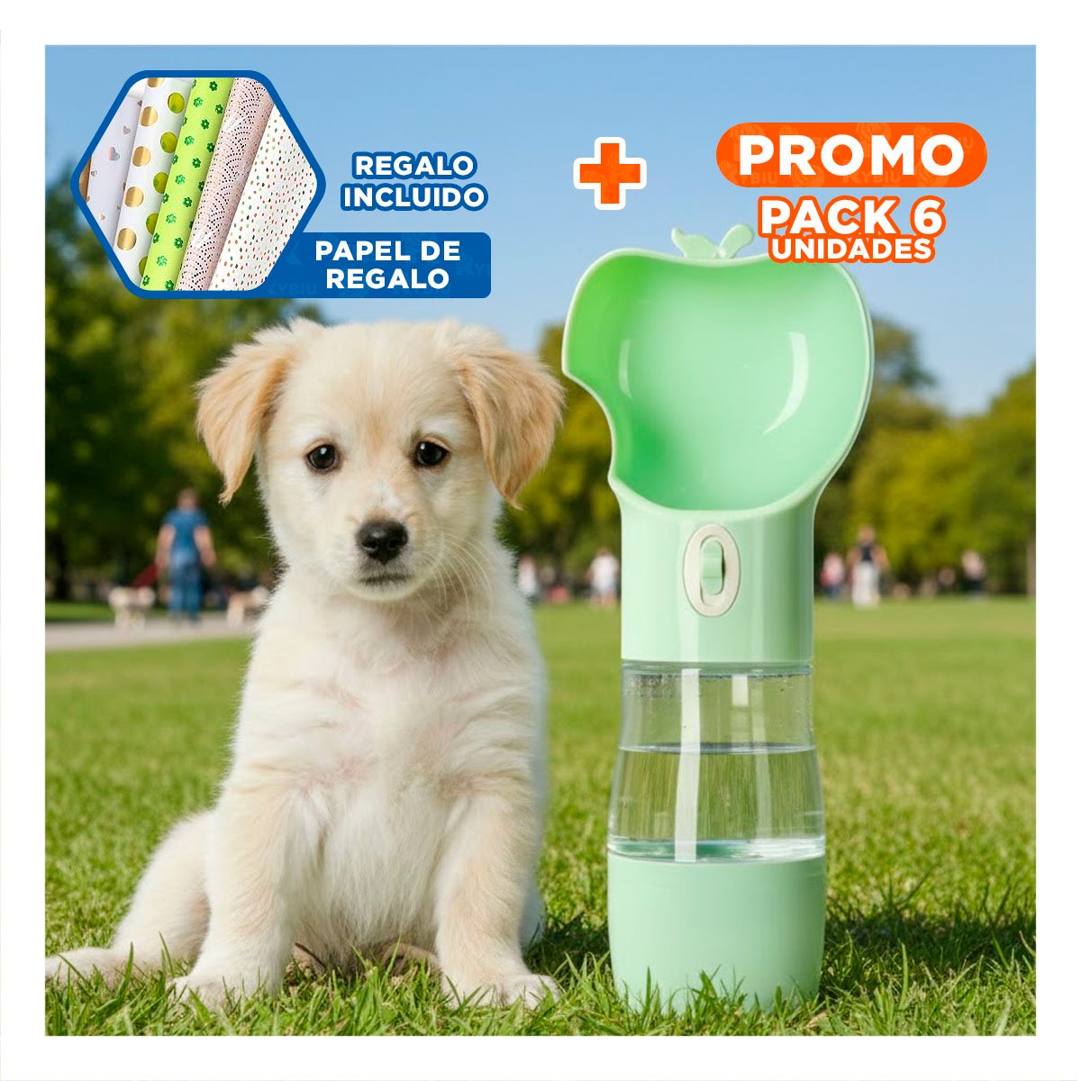 PACK6 ENVASE COMPACTO VERDE TIPO MANZANA Y+PAPEL REGALO - 1