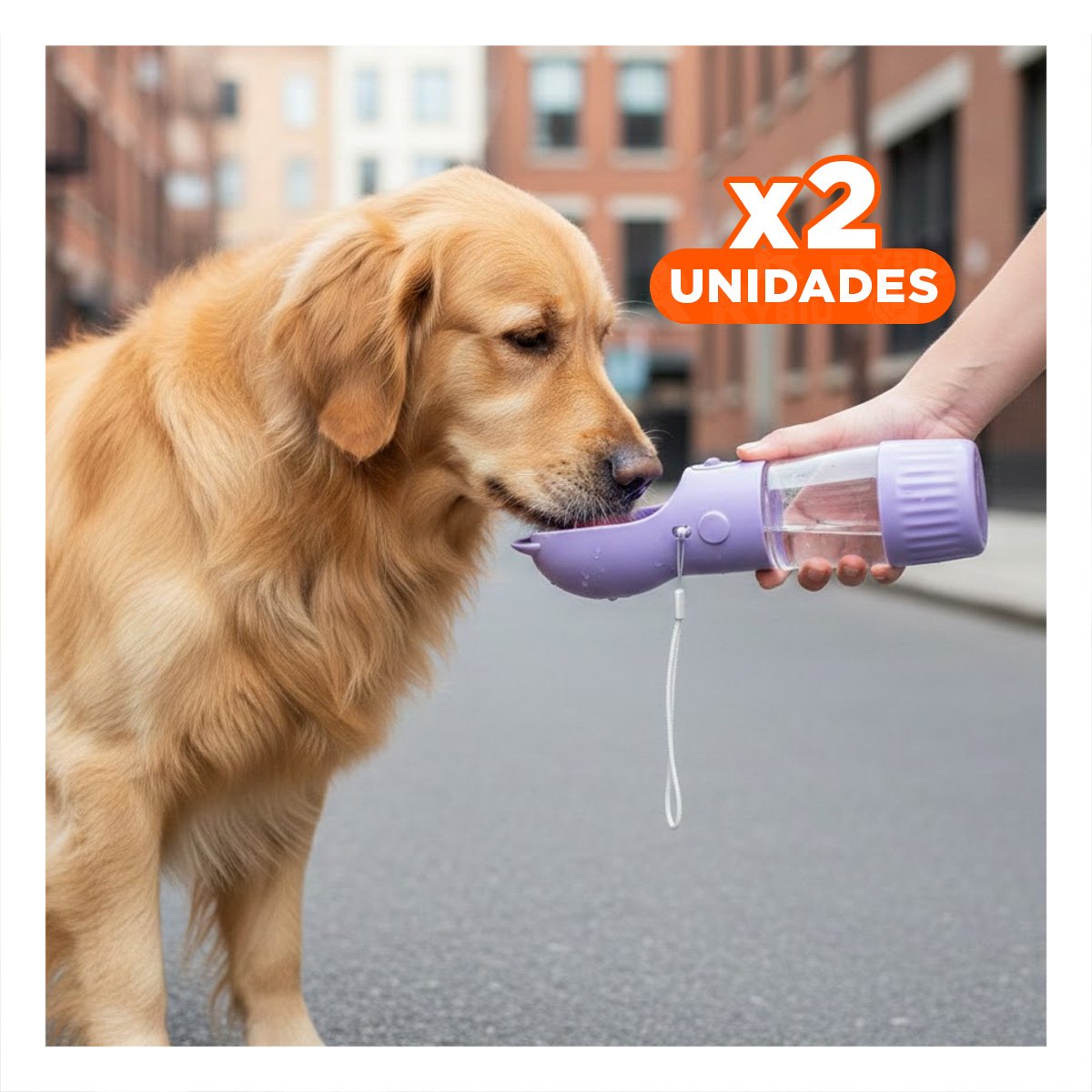 PACK2 ENVASE FUNCIONAL GATO LILA RESISTENTE Y LIVIANO Y+REGALO STICKER - 1
