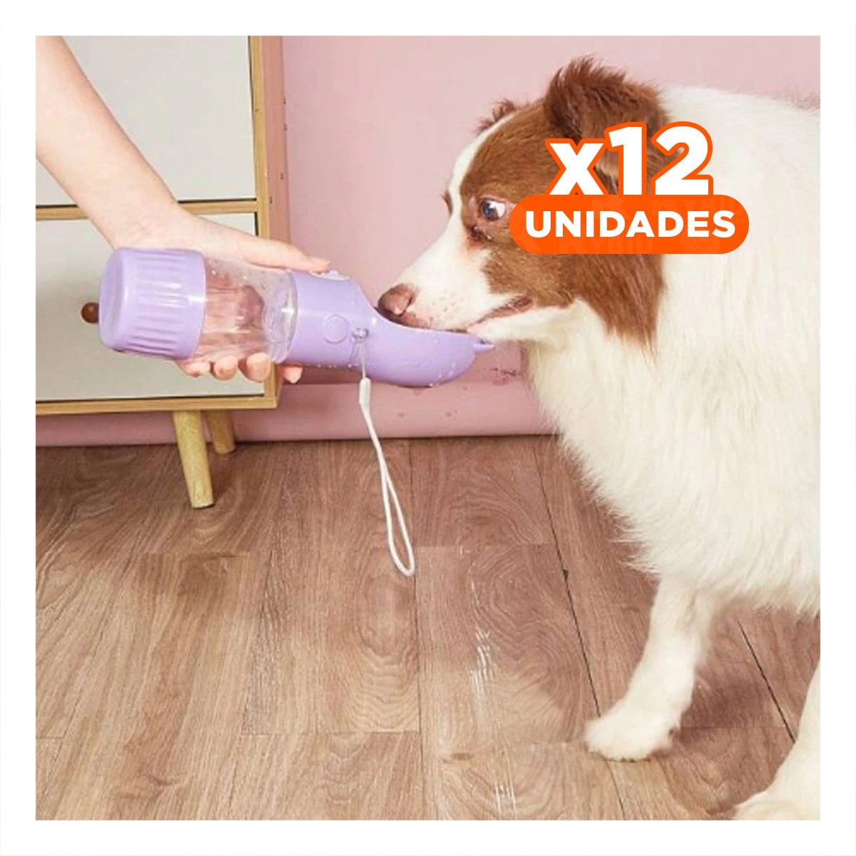 PACK12 APLICADOR COMPACTO GATO LILA PARA CARTERA Y MOCHILA - 1