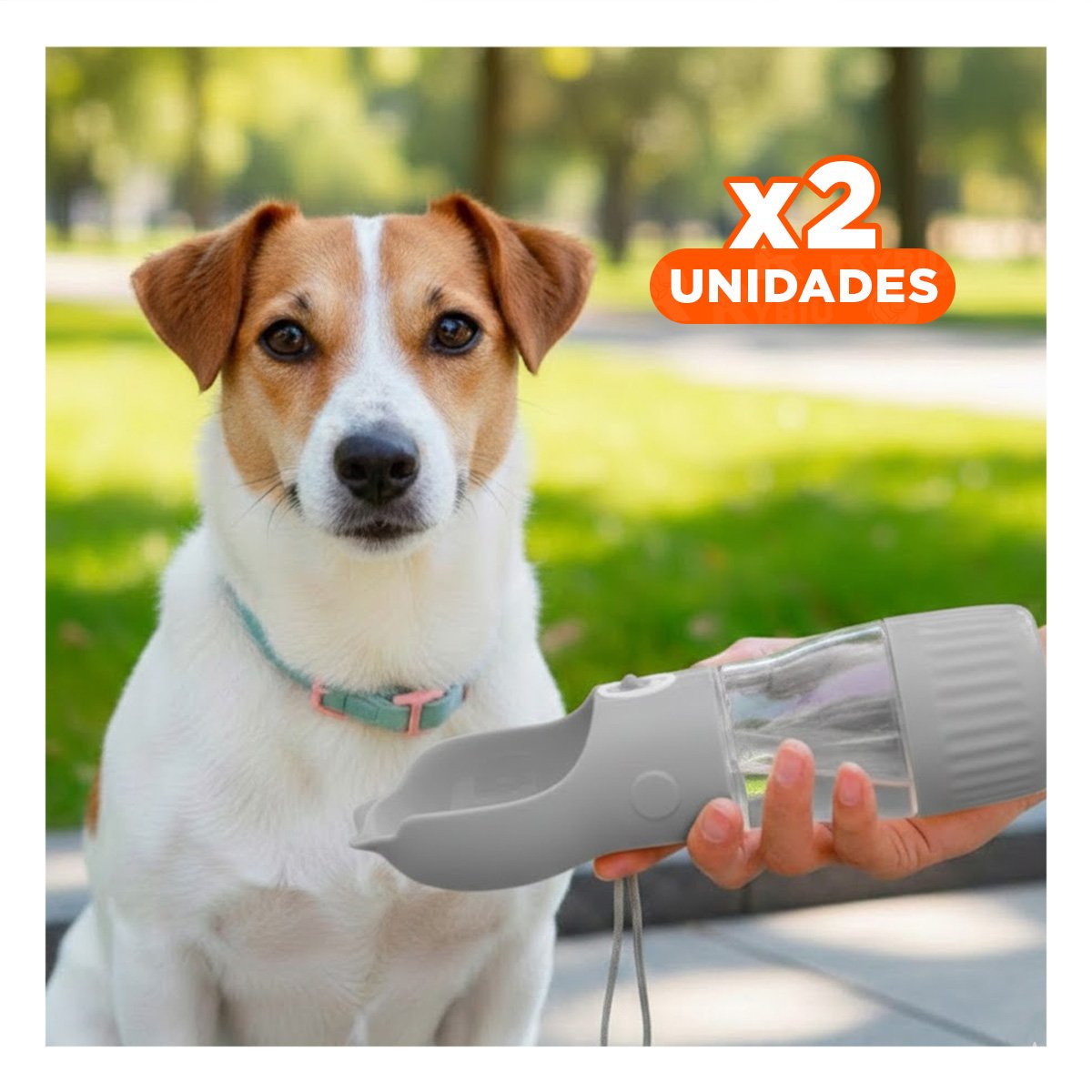 PACK2 ENVASE FUNCIONAL GATO PLOMO RESISTENTE Y LIVIANO Y+REGALO STICKER - 1