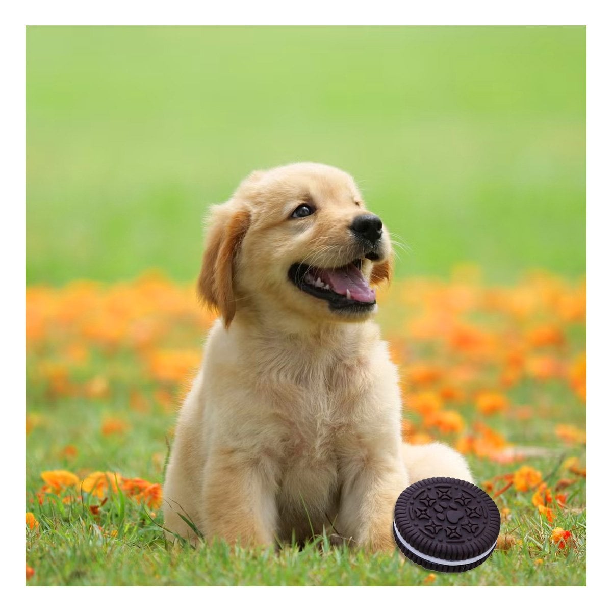PACK2 BLOQUE DE JUEGO EN GOMA PARA MASCOTA NEGRO INSPIRADO EN GALLETA OREO - 5