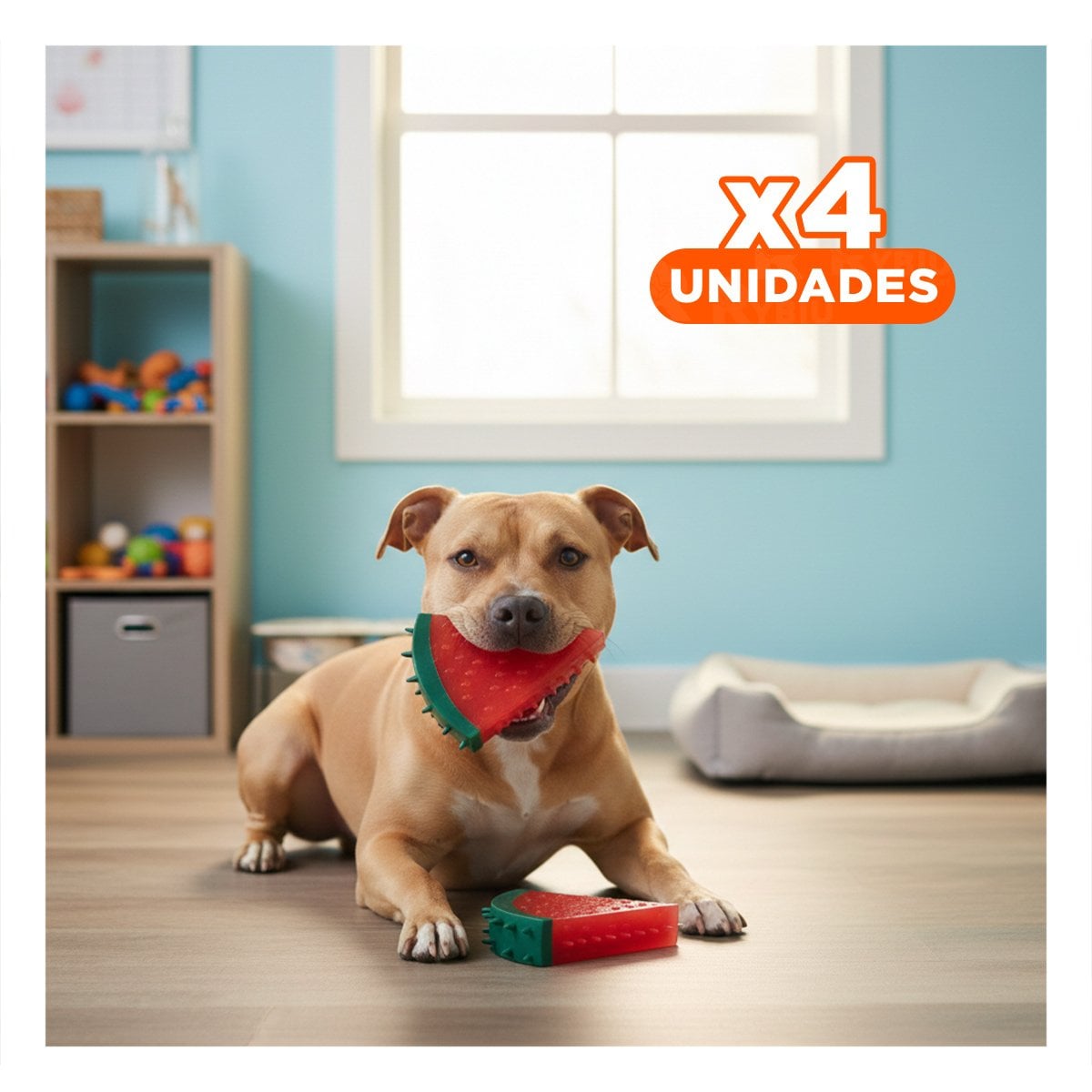 PACK4 OBJETO DE PVC EN FORMA DE SANDIA PARA MASCOTA ROJO QUE REBOTA - 1