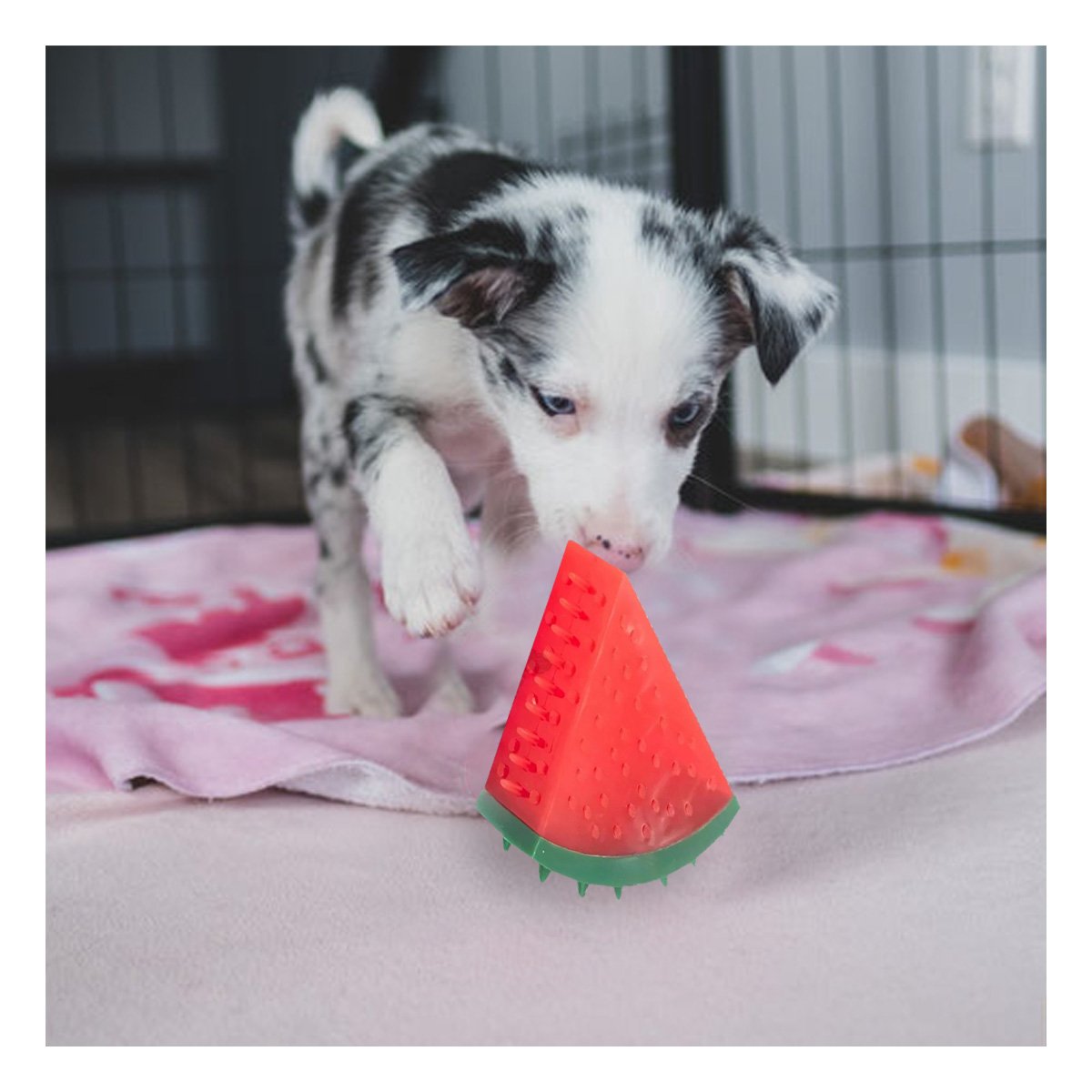 PACK4 OBJETO DE PVC EN FORMA DE SANDIA PARA MASCOTA ROJO QUE REBOTA - 3