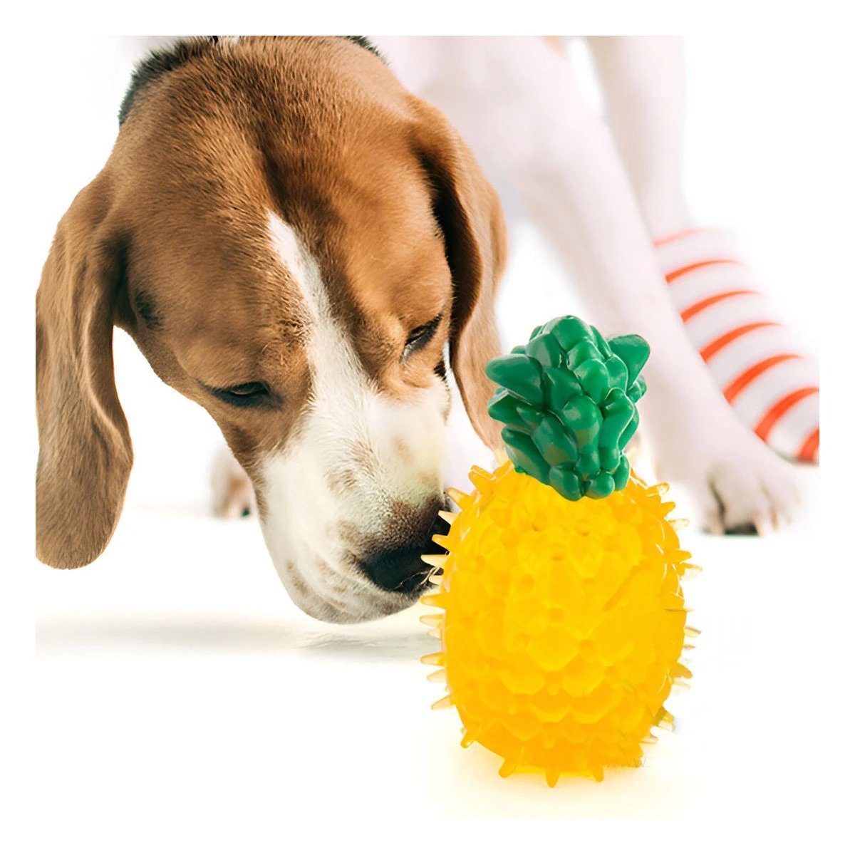 PACK4 OBJETO RESISTENTE DE PVC EN FORMA DE PINA PARA MASCOTA AMARILLO Y+REGALO STICKER - 3