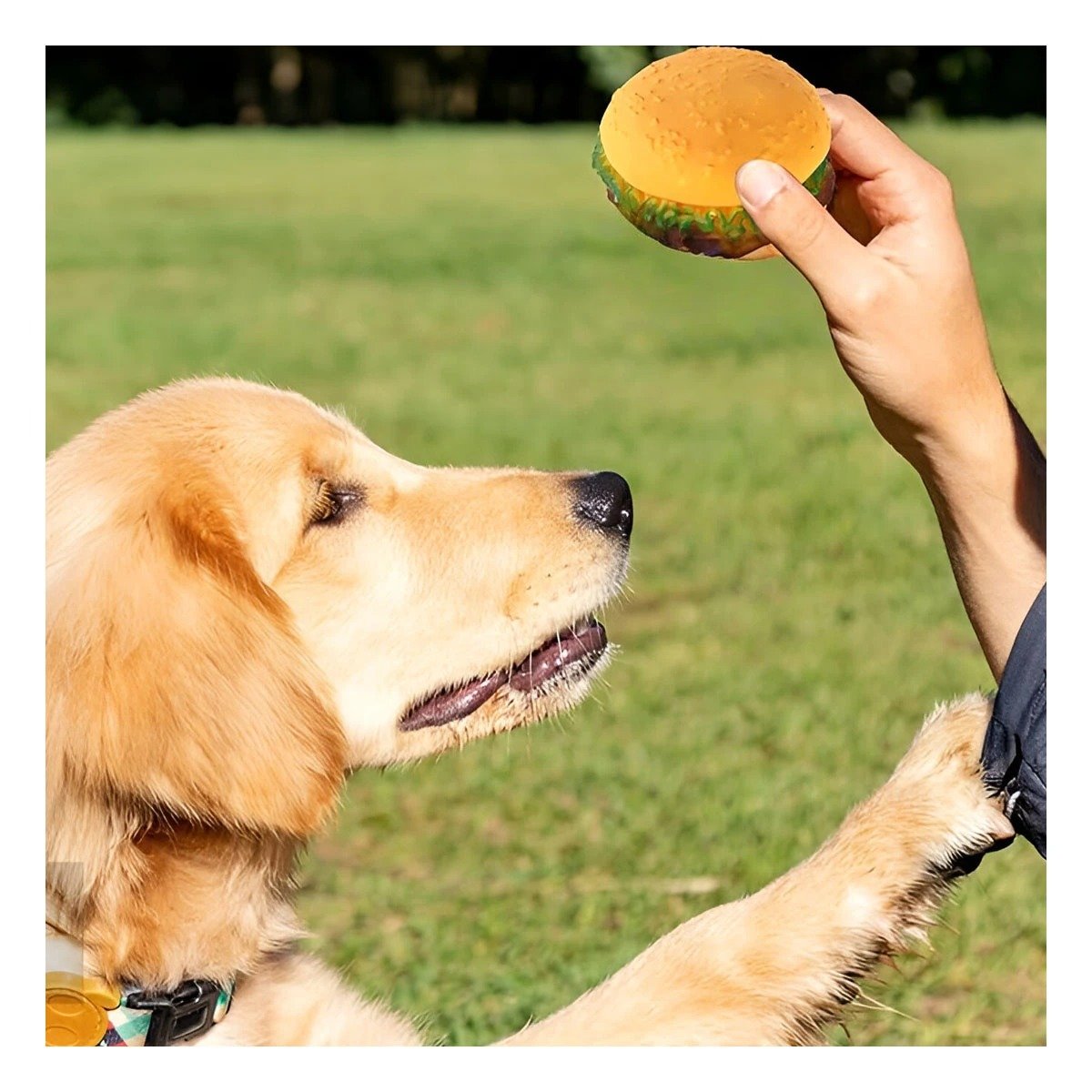 PACK4 BLOQUE DE ENTRETENIMIENTO EN GOMA PARA MASCOTAS CON FORMA DE HAMBURGUESA Y+PAPEL REGALO - 5