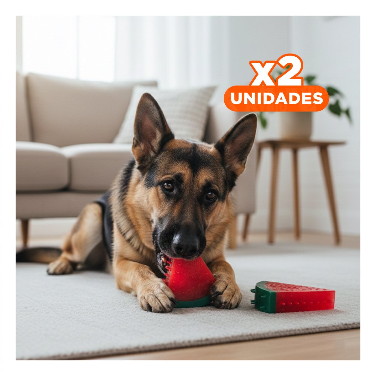 PACK2 ARTICULO COLORIDO DE PVC EN FORMA DE SANDIA PARA MASCOTA ROJO Y+REGALO STICKER - 1