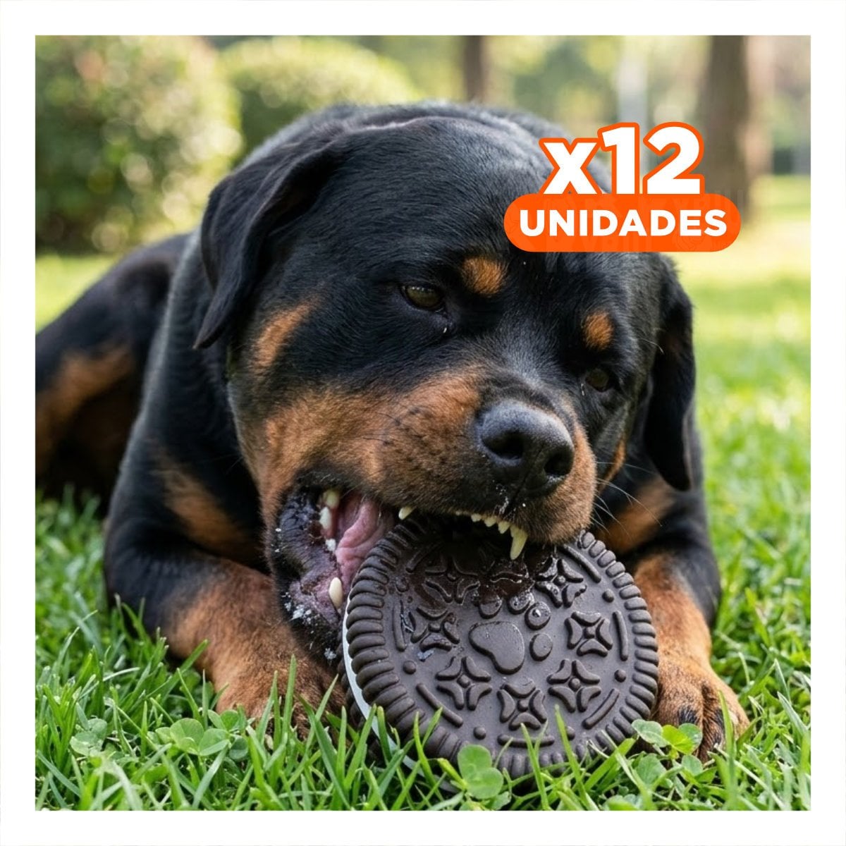 PACK12 ELEMENTO SEGURO DE GOMA PARA MASCOTA NEGRO CON FORMA DE GALLETA OREO - 1