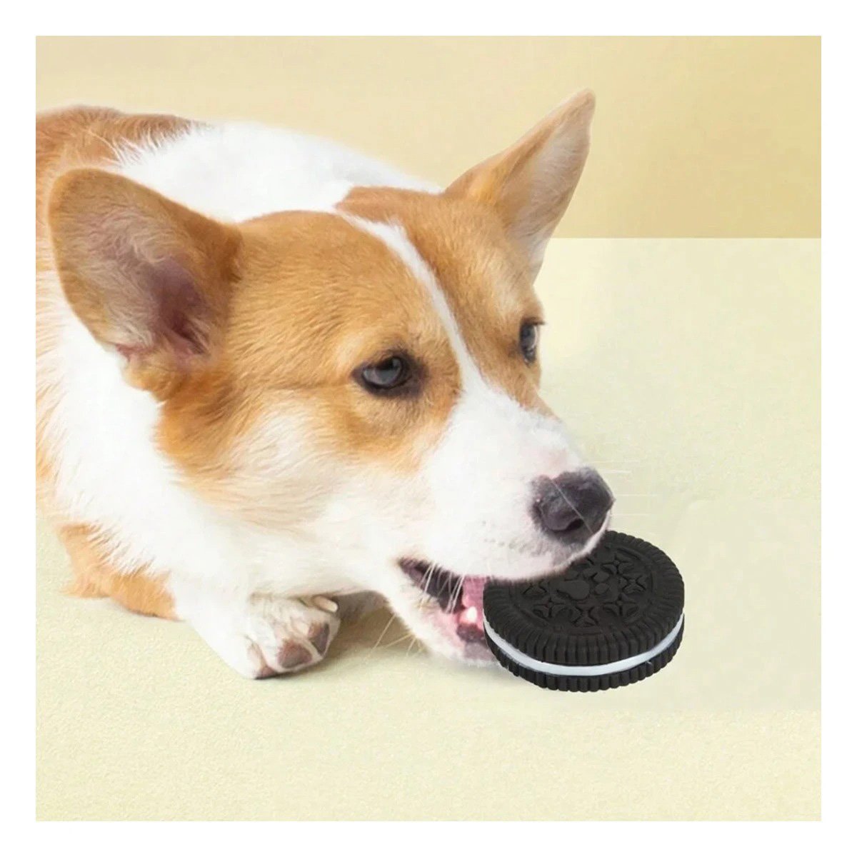 PACK12 ELEMENTO SEGURO DE GOMA PARA MASCOTA NEGRO CON FORMA DE GALLETA OREO - 5