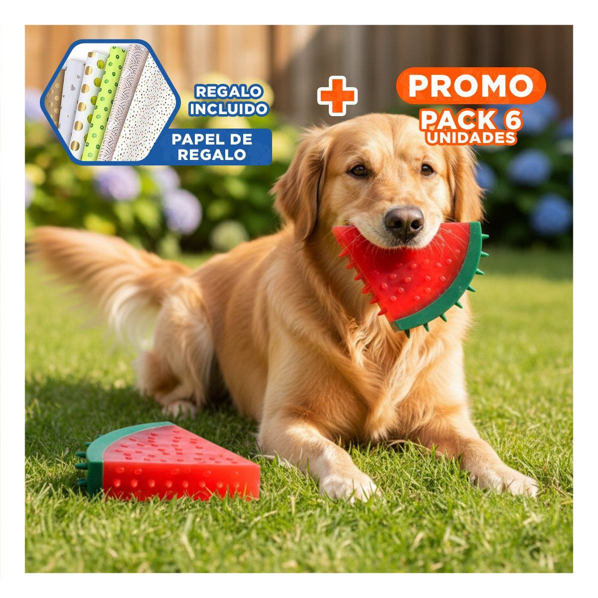 PACK6 OBJETO COLORIDO DE PVC EN FORMA DE SANDIA PARA MASCOTA ROJO FLEXIBLE Y+PAPEL REGALO - 1