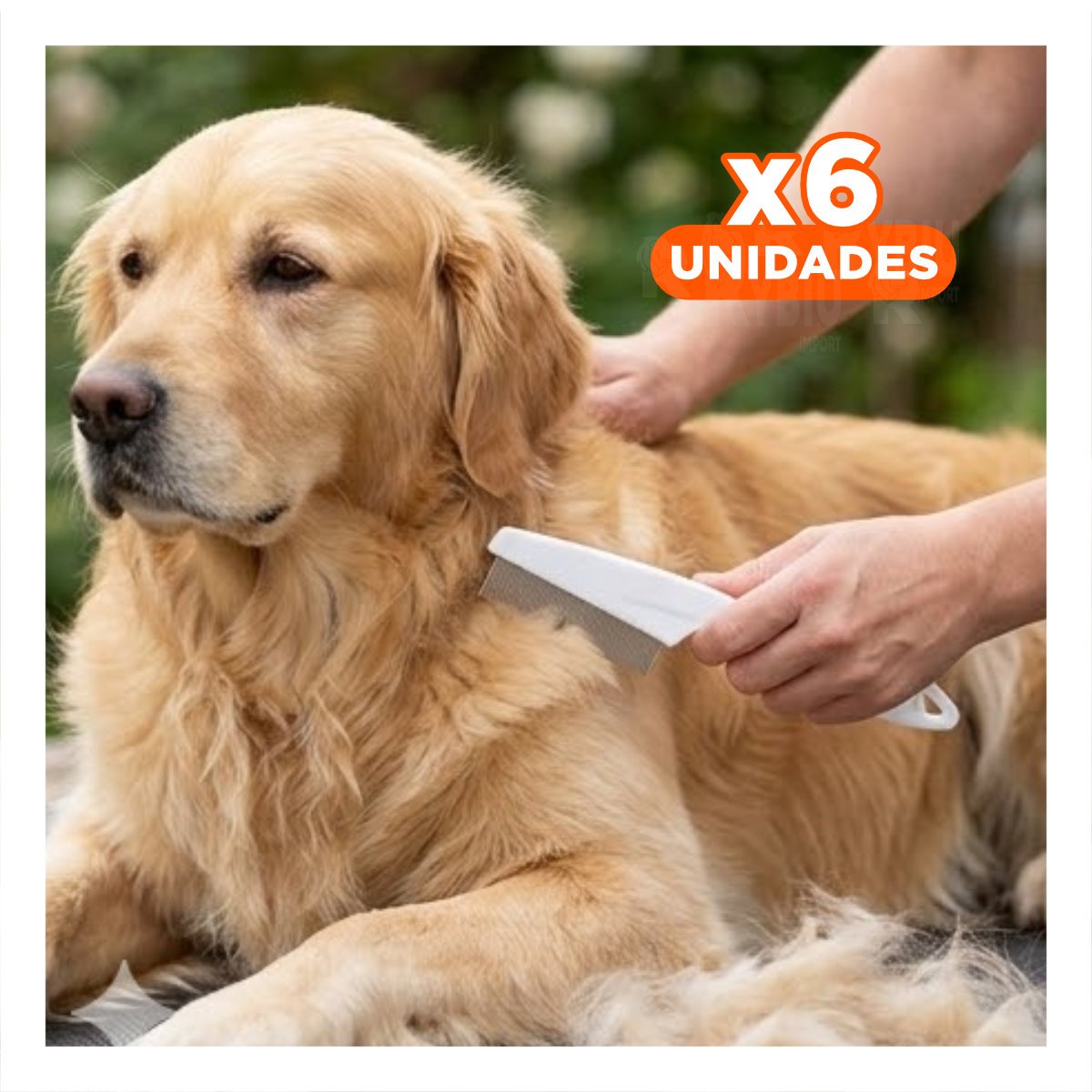 PACK6 ELIMINADOR ANTIPULGAS PARA MASCOTAS BLANCO SEGURO Y EFICAZ Y+REGALO STICKER - 1