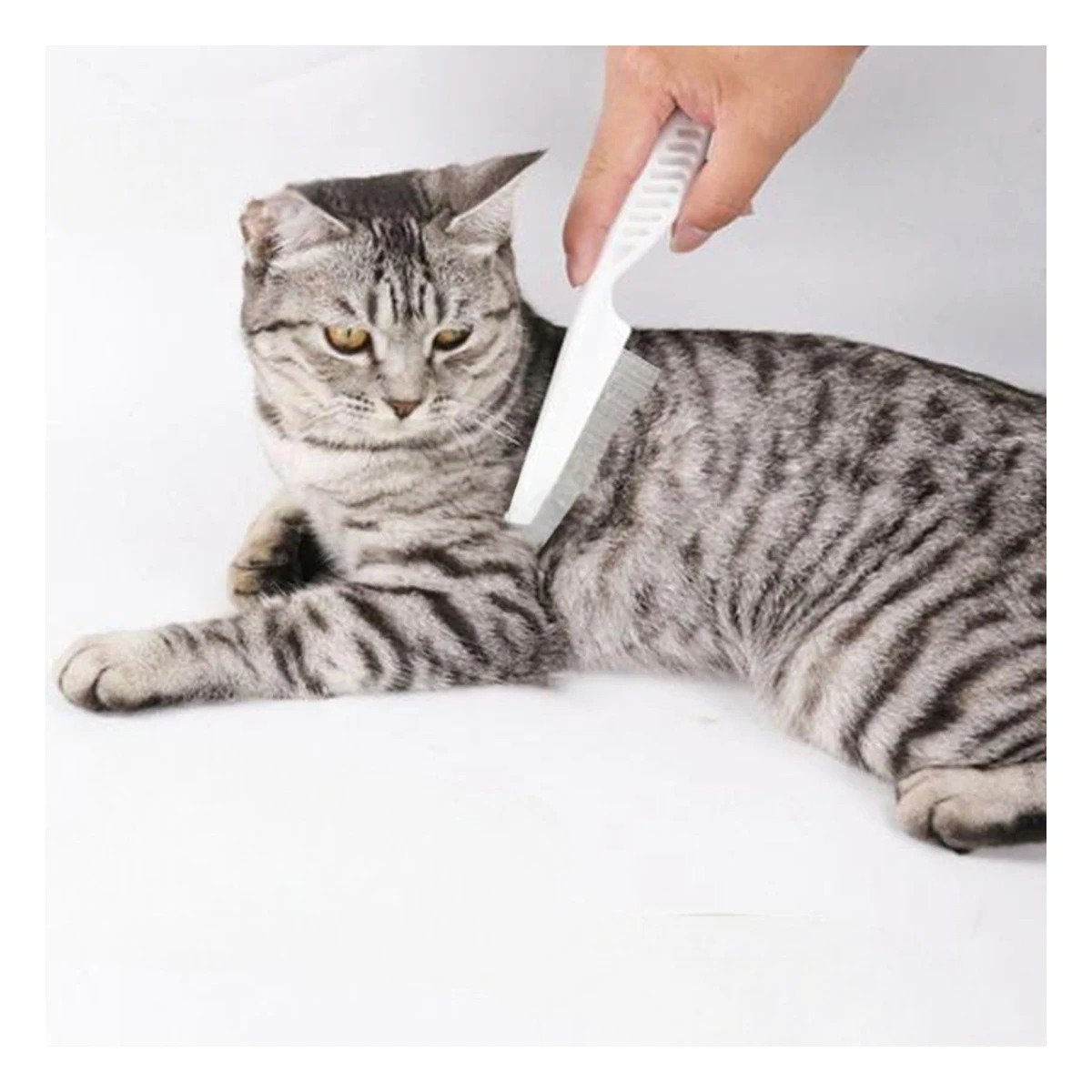PACK6 ELIMINADOR COMPACTO PARA MASCOTAS BLANCO FACIL DE TRANSPORTAR Y USAR - 5