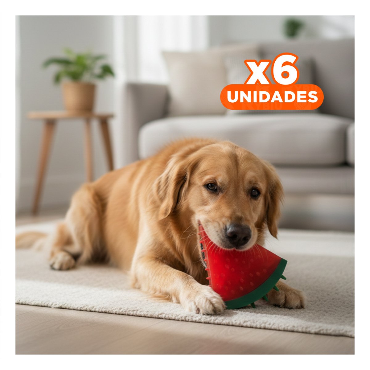 PACK6 PELOTA INTERACTIVA DE PVC EN FORMA DE SANDIA PARA MASCOTA ROJO Y+REGALO STICKER - 1